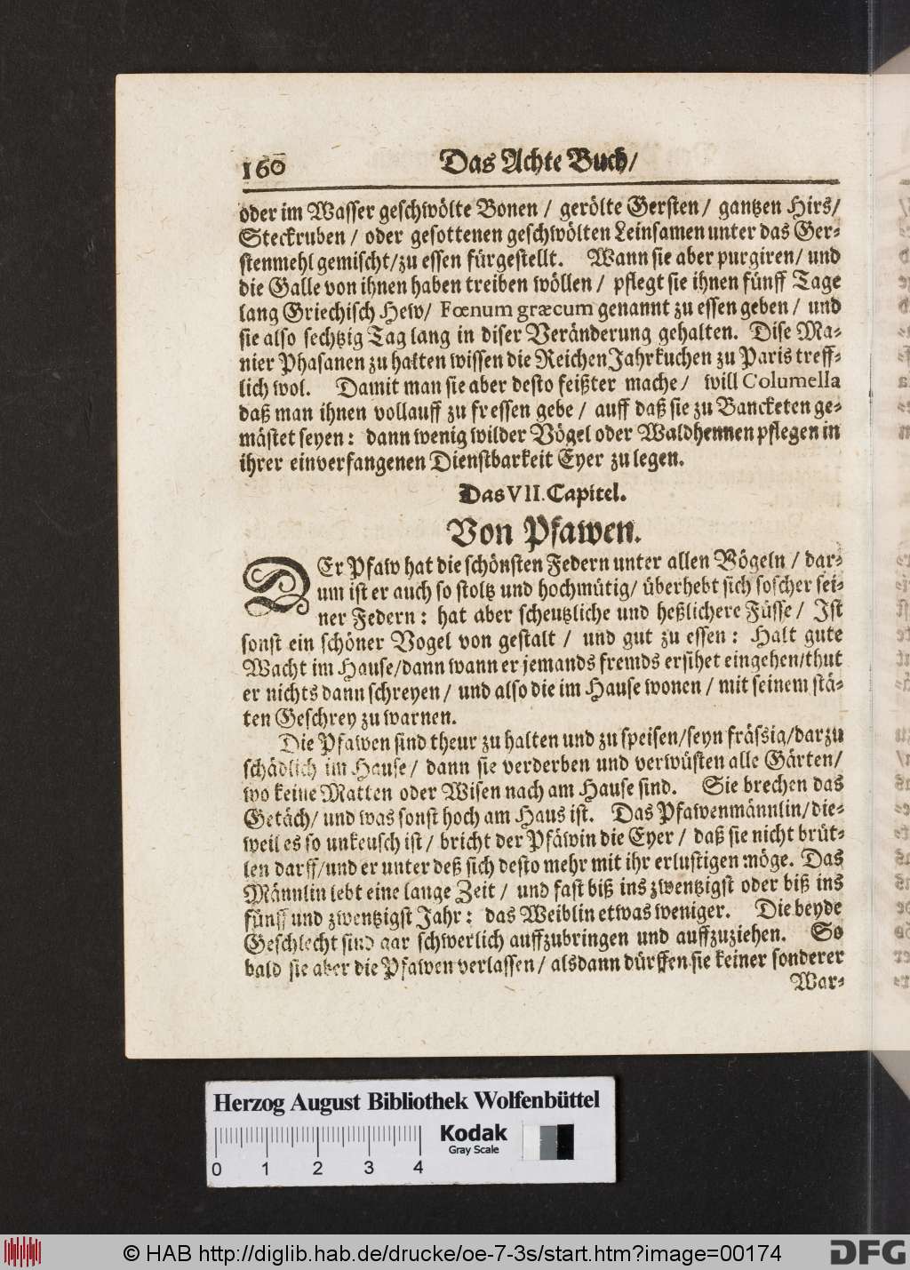 http://diglib.hab.de/drucke/oe-7-3s/00174.jpg