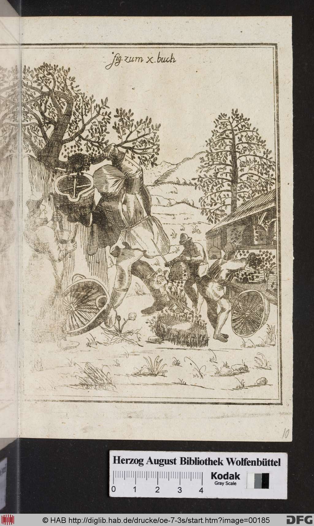 http://diglib.hab.de/drucke/oe-7-3s/00185.jpg
