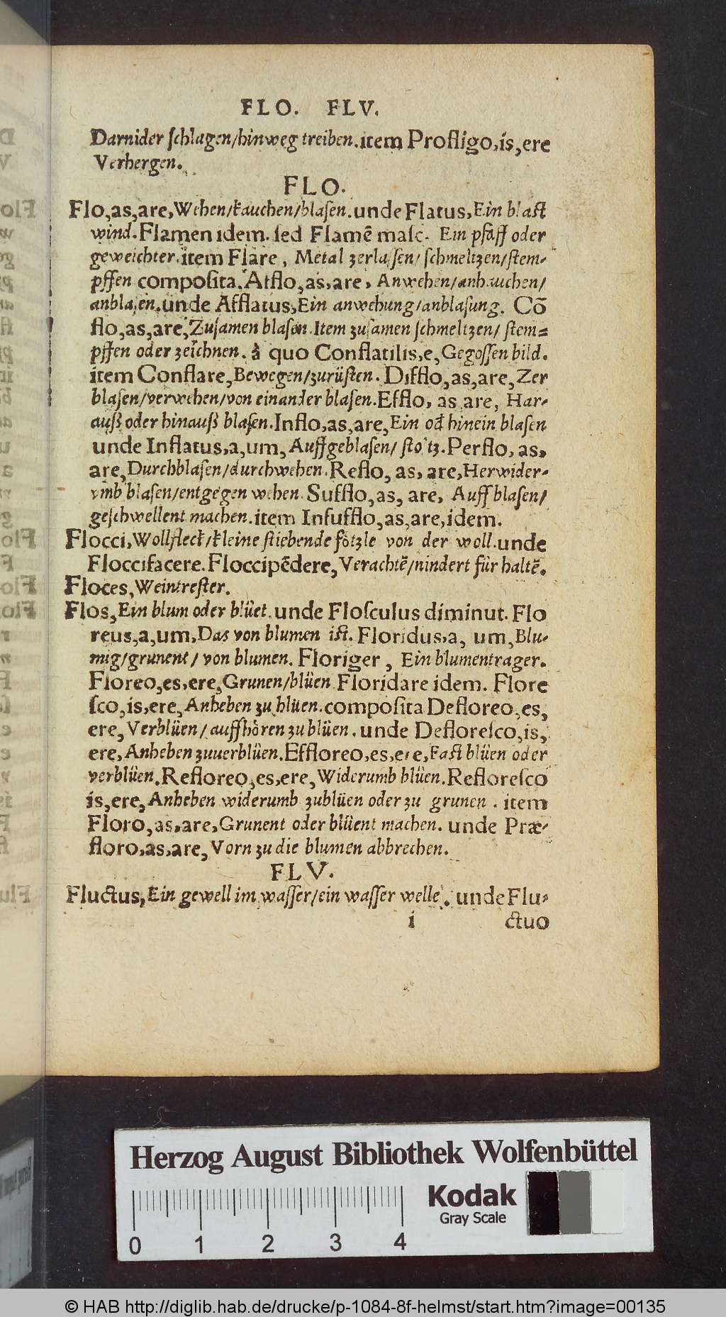 http://diglib.hab.de/drucke/p-1084-8f-helmst/00135.jpg