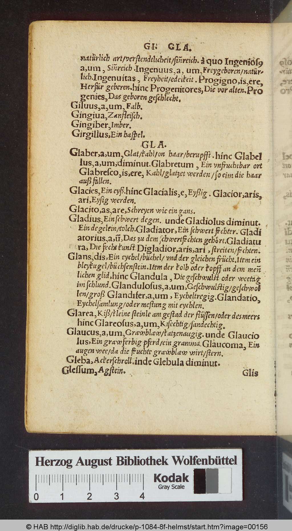 http://diglib.hab.de/drucke/p-1084-8f-helmst/00156.jpg
