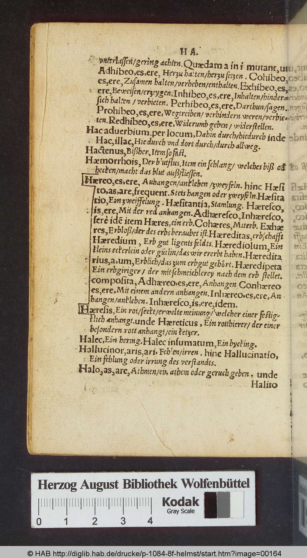 http://diglib.hab.de/drucke/p-1084-8f-helmst/00164.jpg
