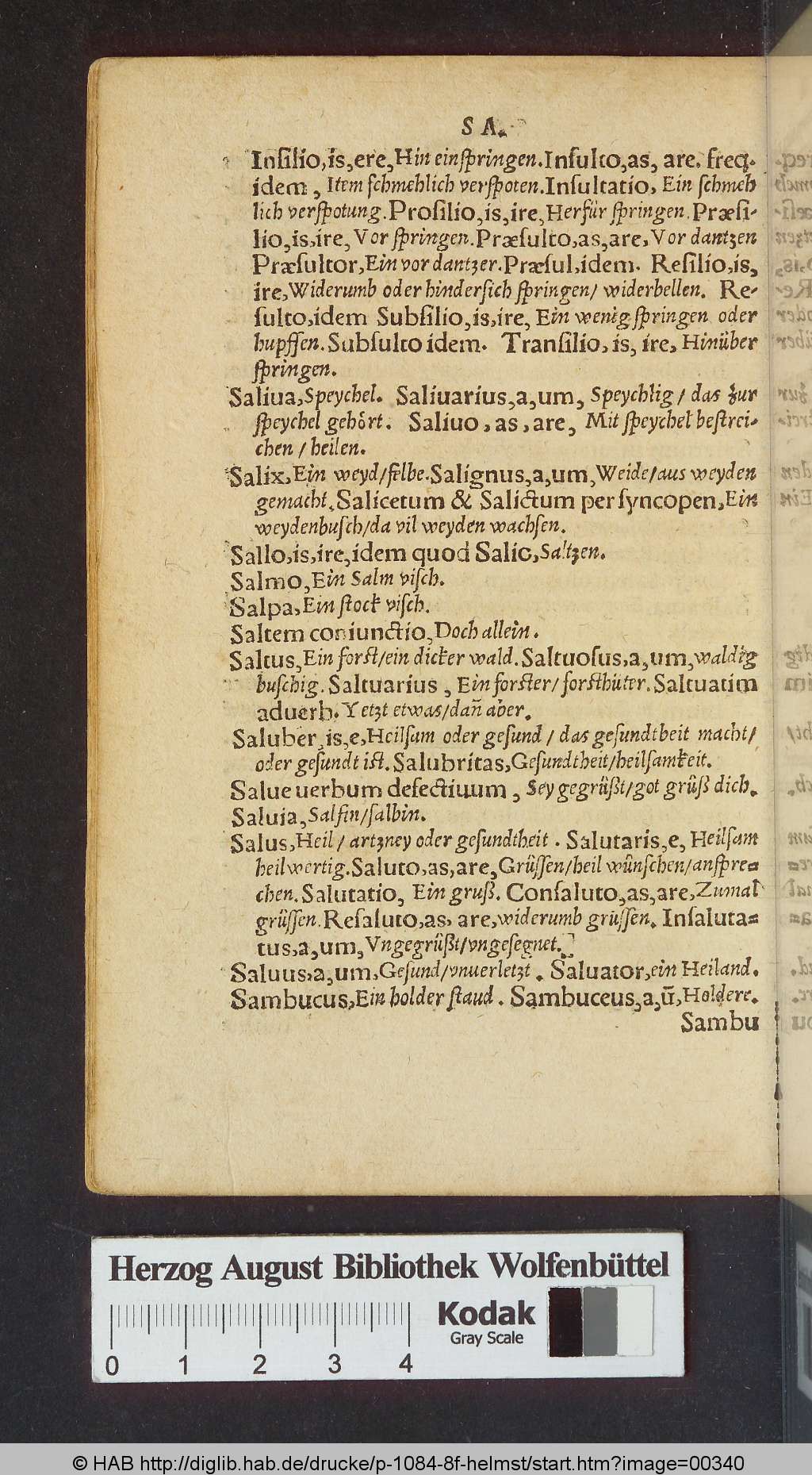 http://diglib.hab.de/drucke/p-1084-8f-helmst/00340.jpg