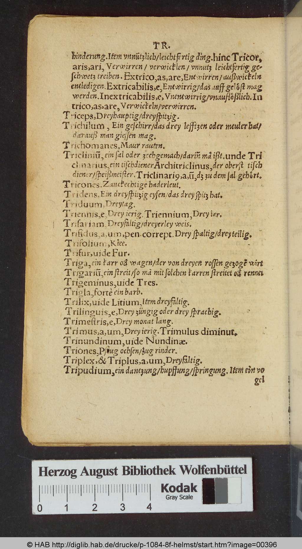 http://diglib.hab.de/drucke/p-1084-8f-helmst/00396.jpg