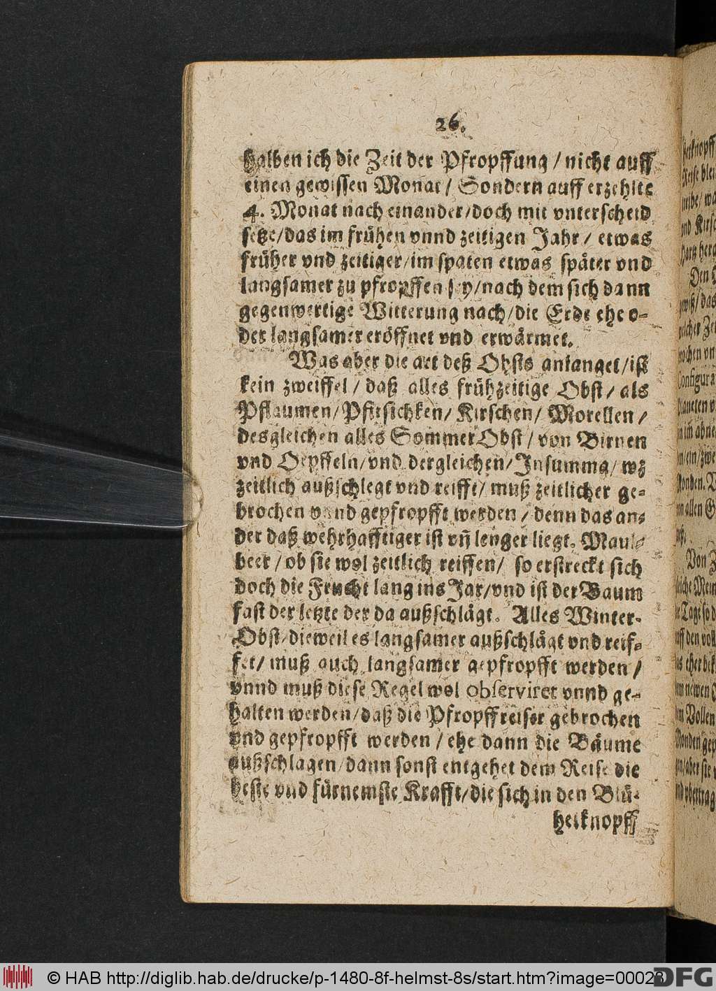 http://diglib.hab.de/drucke/p-1480-8f-helmst-8s/00028.jpg