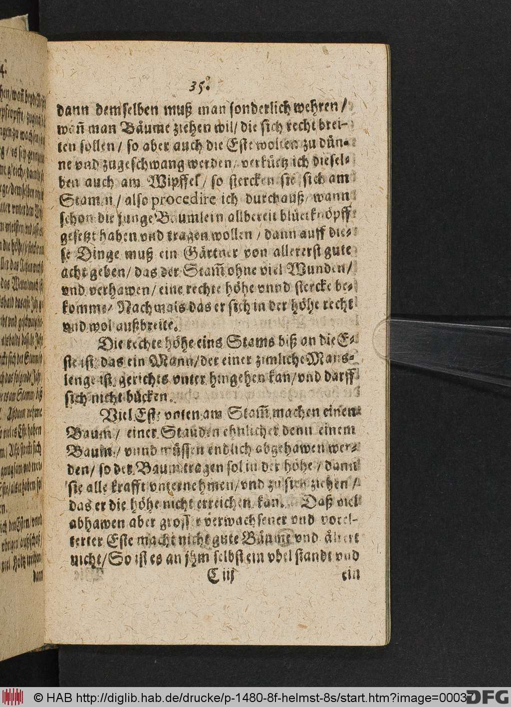 http://diglib.hab.de/drucke/p-1480-8f-helmst-8s/00037.jpg