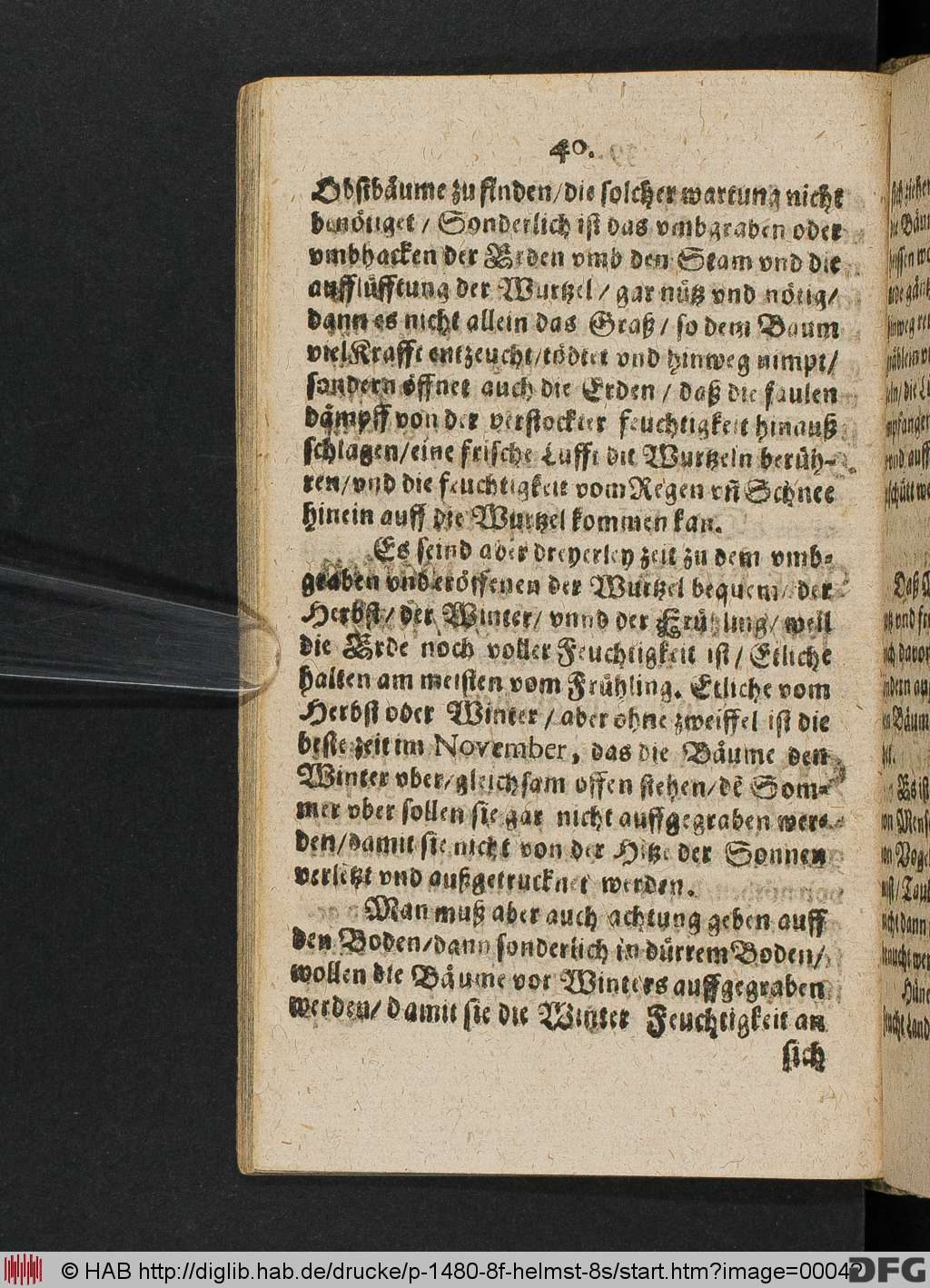 http://diglib.hab.de/drucke/p-1480-8f-helmst-8s/00042.jpg