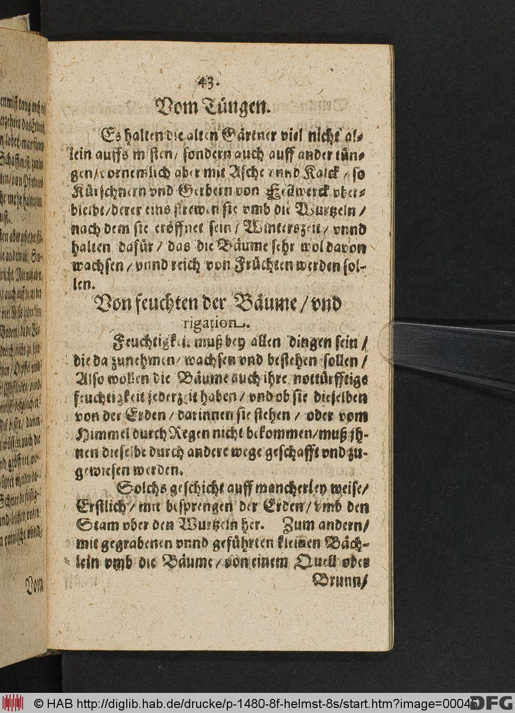 http://diglib.hab.de/drucke/p-1480-8f-helmst-8s/00045.jpg