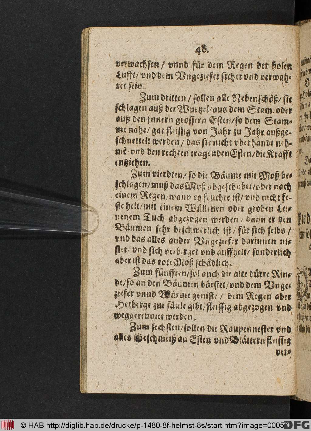 http://diglib.hab.de/drucke/p-1480-8f-helmst-8s/00050.jpg