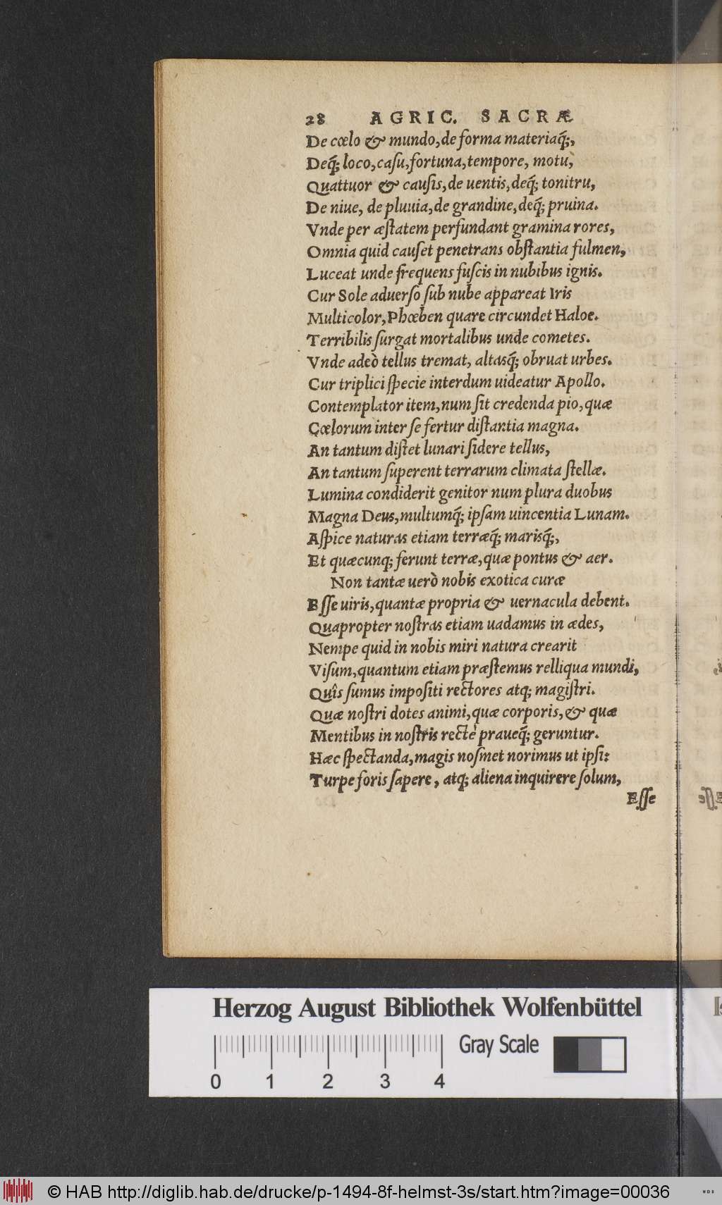 http://diglib.hab.de/drucke/p-1494-8f-helmst-3s/00036.jpg