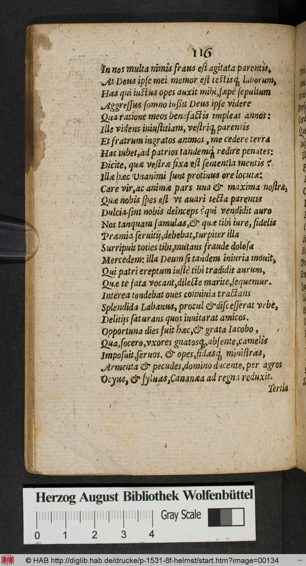 http://diglib.hab.de/drucke/p-1531-8f-helmst/00134.jpg