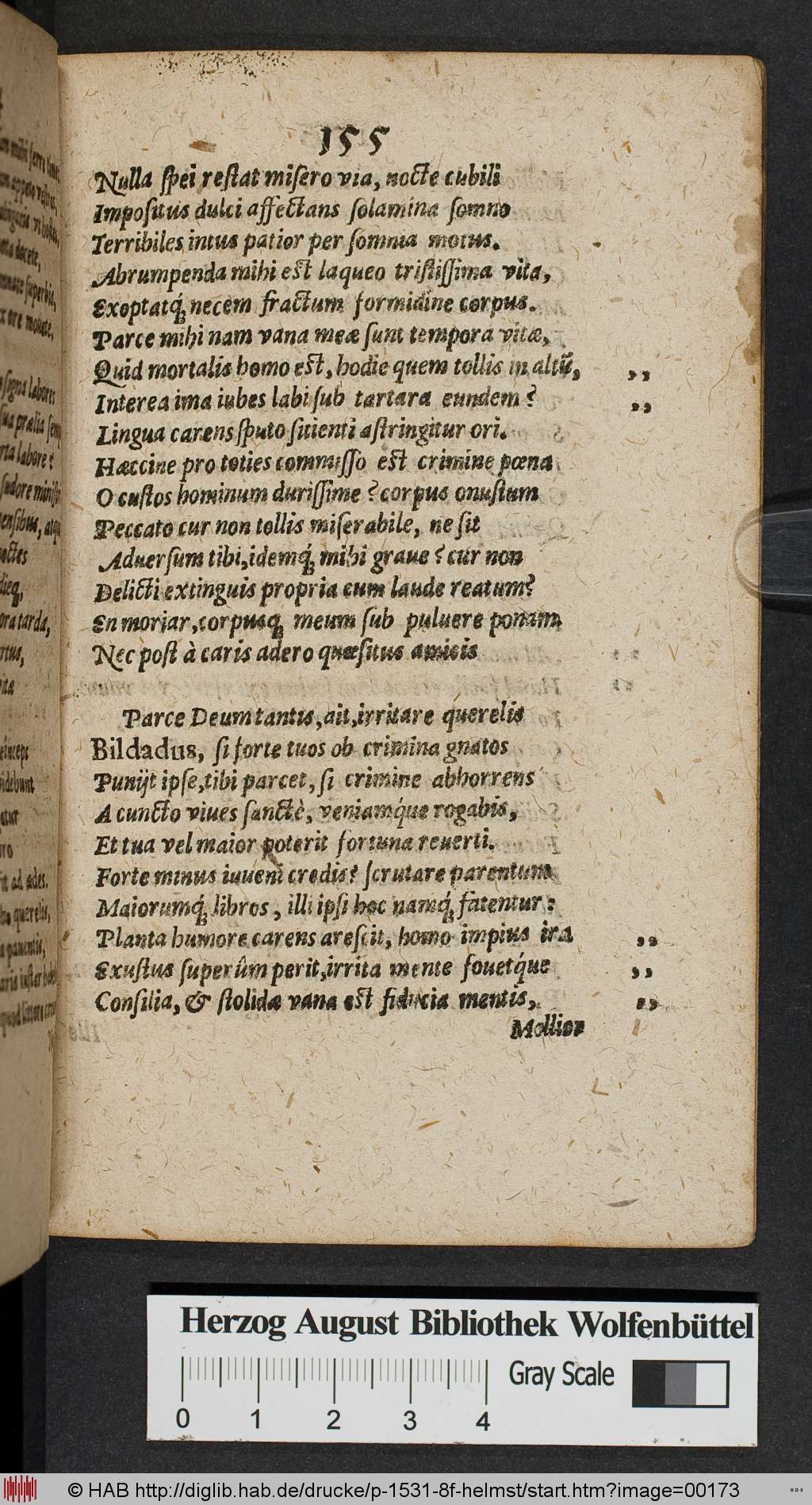 http://diglib.hab.de/drucke/p-1531-8f-helmst/00173.jpg