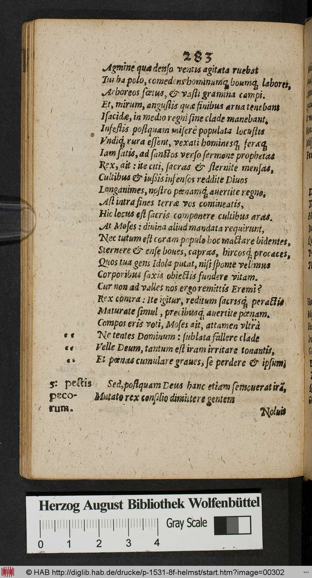 http://diglib.hab.de/drucke/p-1531-8f-helmst/00302.jpg