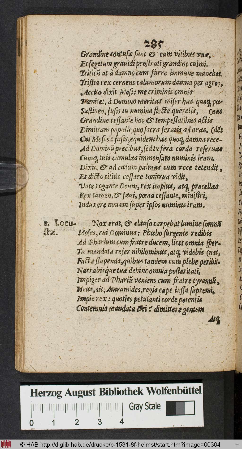 http://diglib.hab.de/drucke/p-1531-8f-helmst/00304.jpg