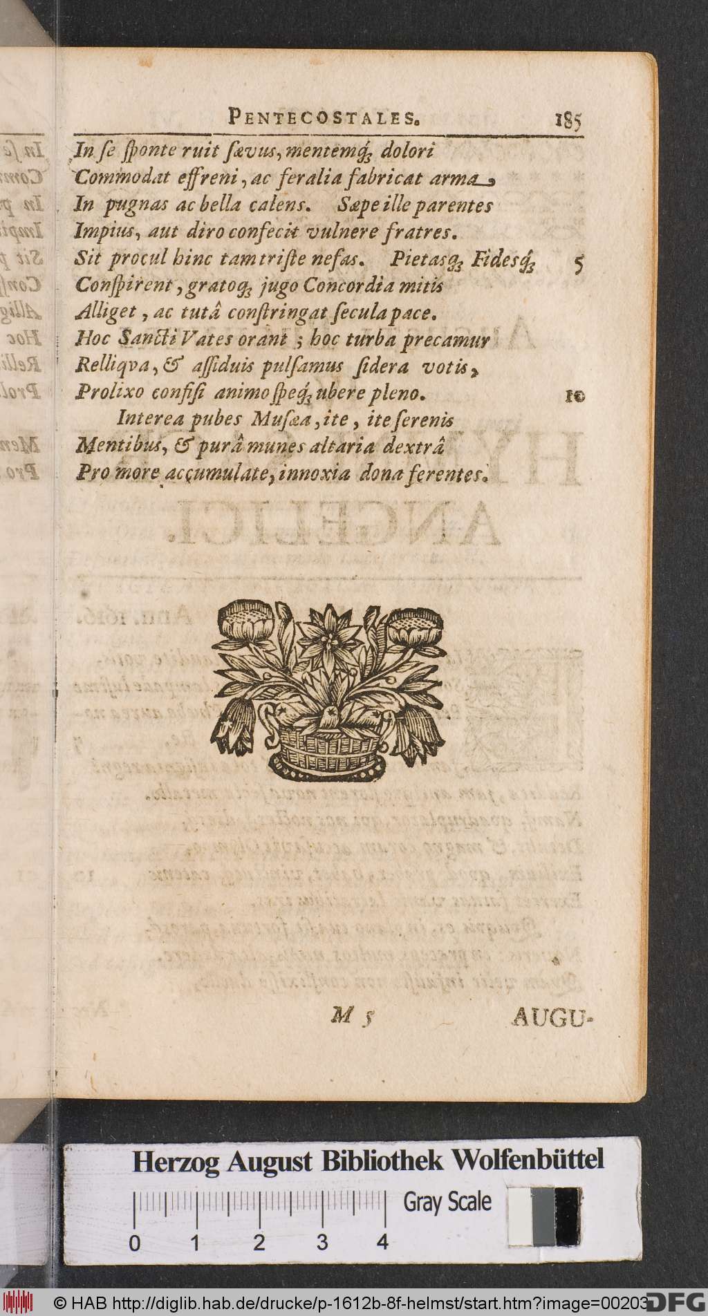 http://diglib.hab.de/drucke/p-1612b-8f-helmst/00203.jpg