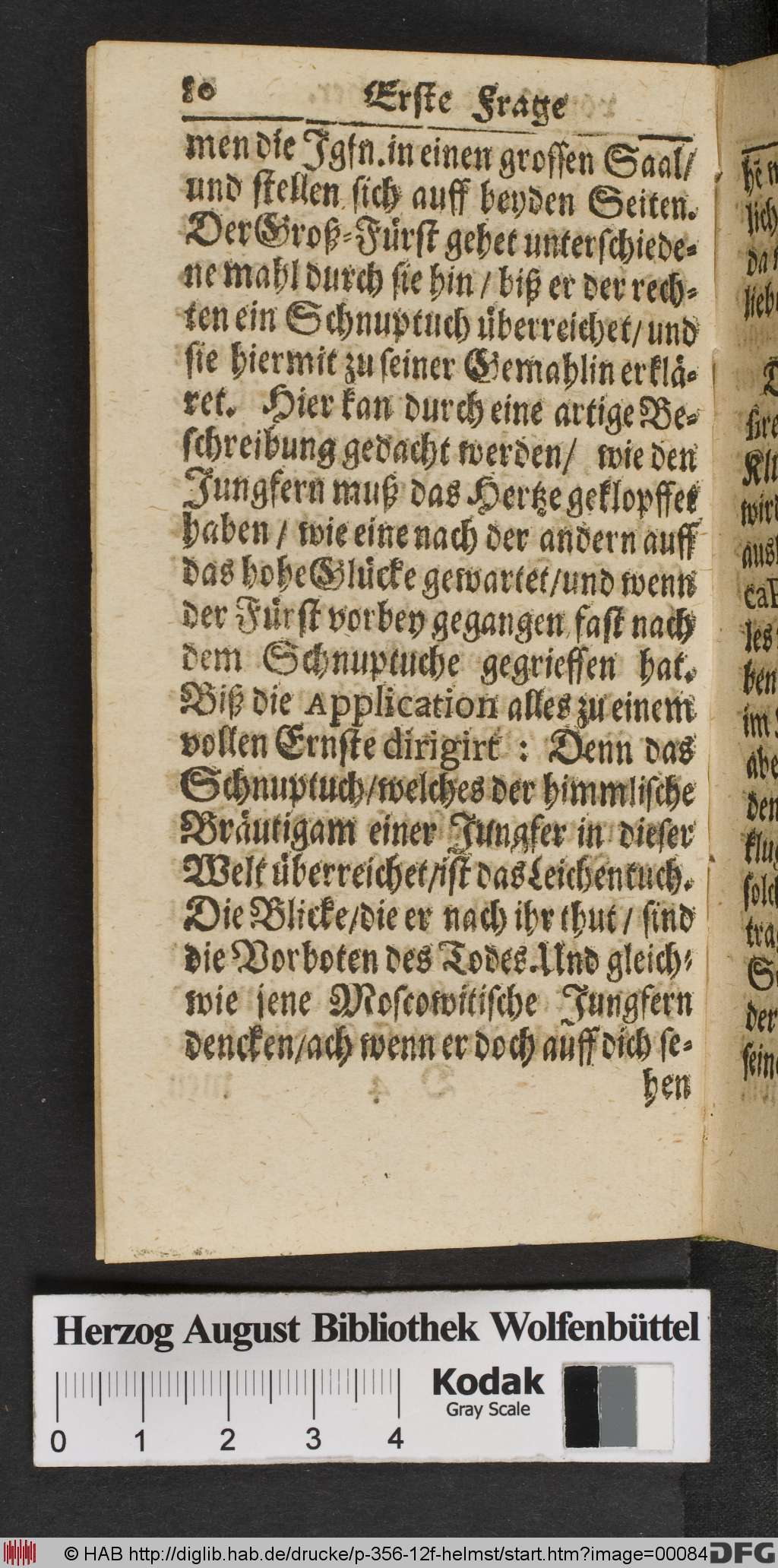 http://diglib.hab.de/drucke/p-356-12f-helmst/00084.jpg