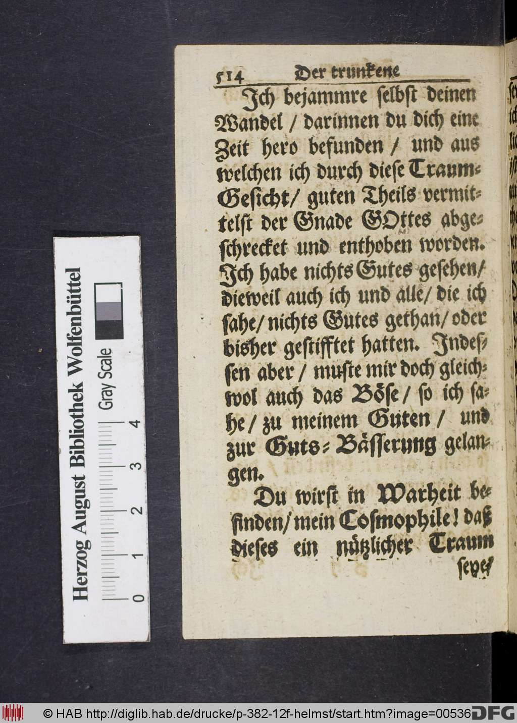 http://diglib.hab.de/drucke/p-382-12f-helmst/00536.jpg