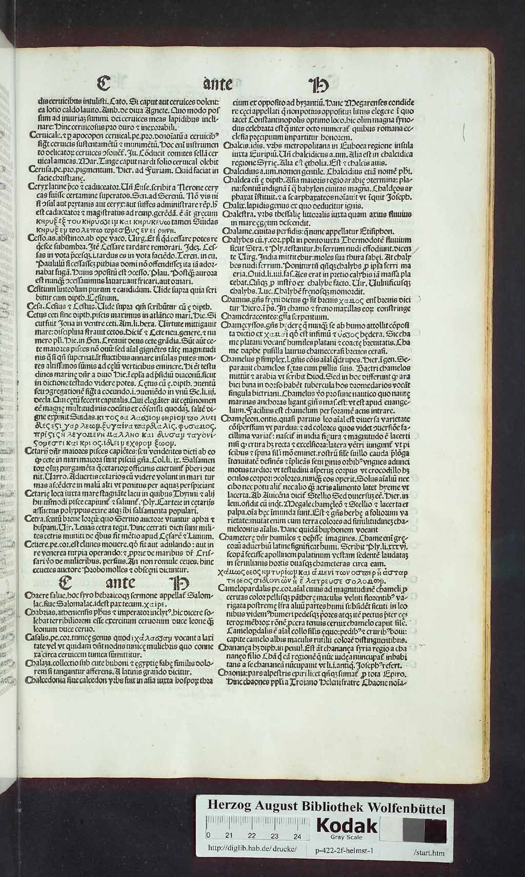 http://diglib.hab.de/drucke/p-422-2f-helmst-1/00115.jpg