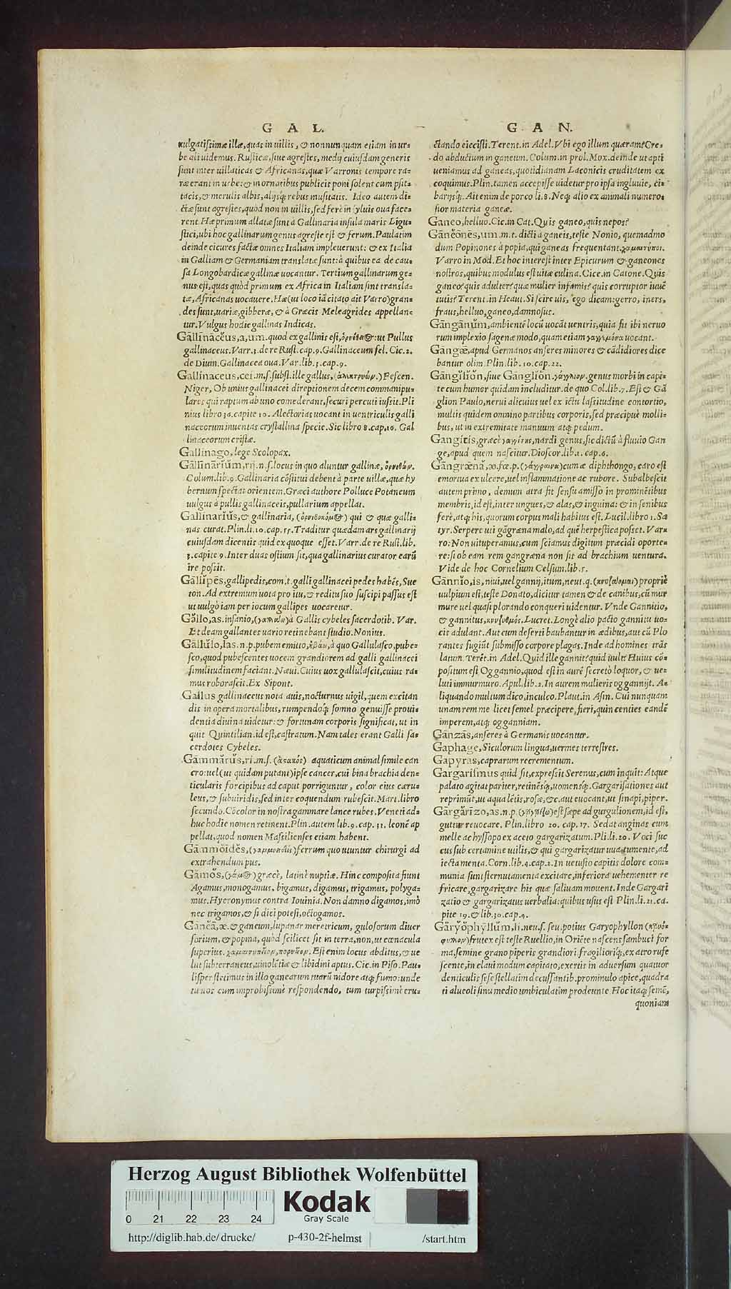 http://diglib.hab.de/drucke/p-430-2f-helmst/00446.jpg