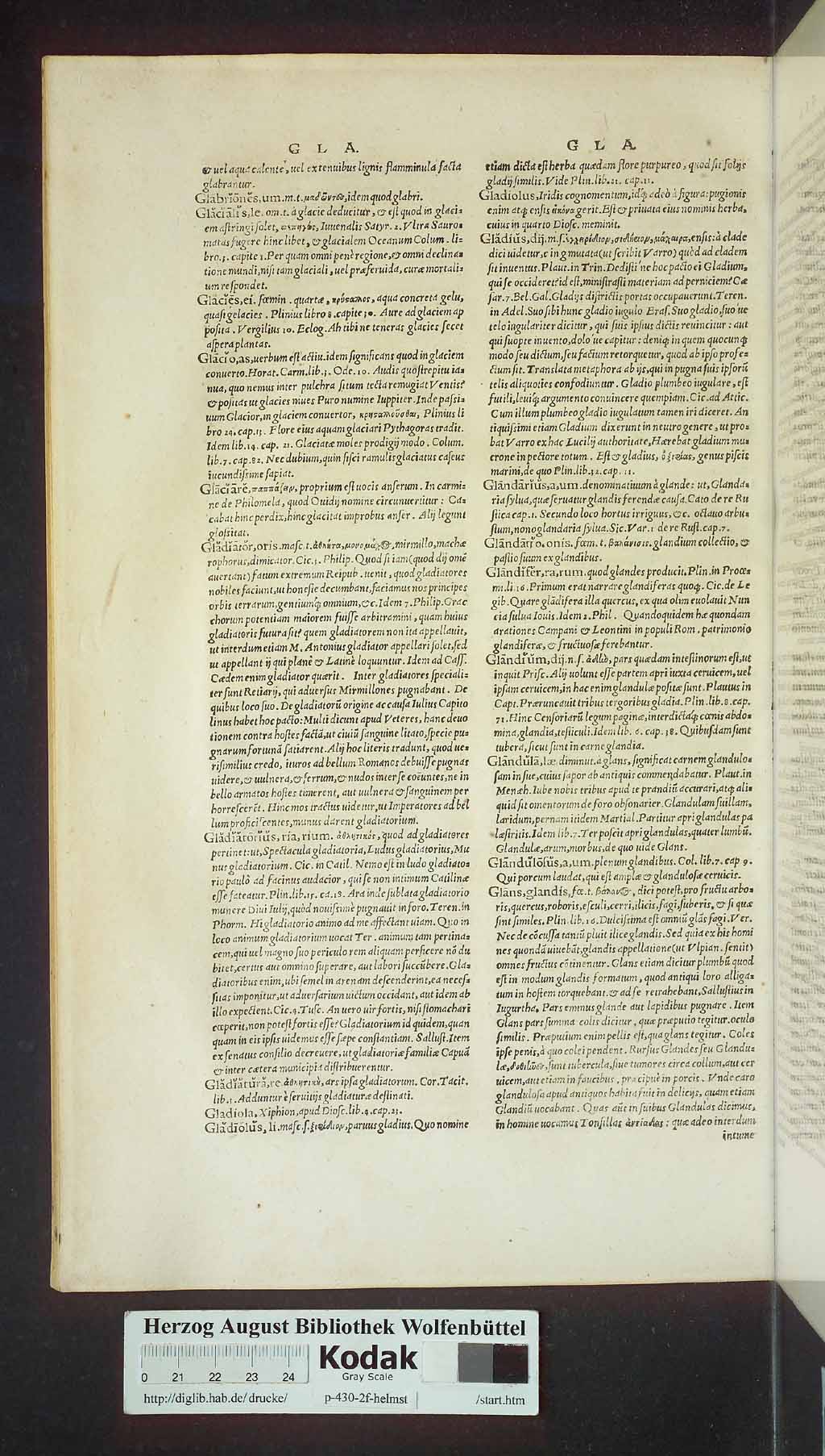 http://diglib.hab.de/drucke/p-430-2f-helmst/00456.jpg
