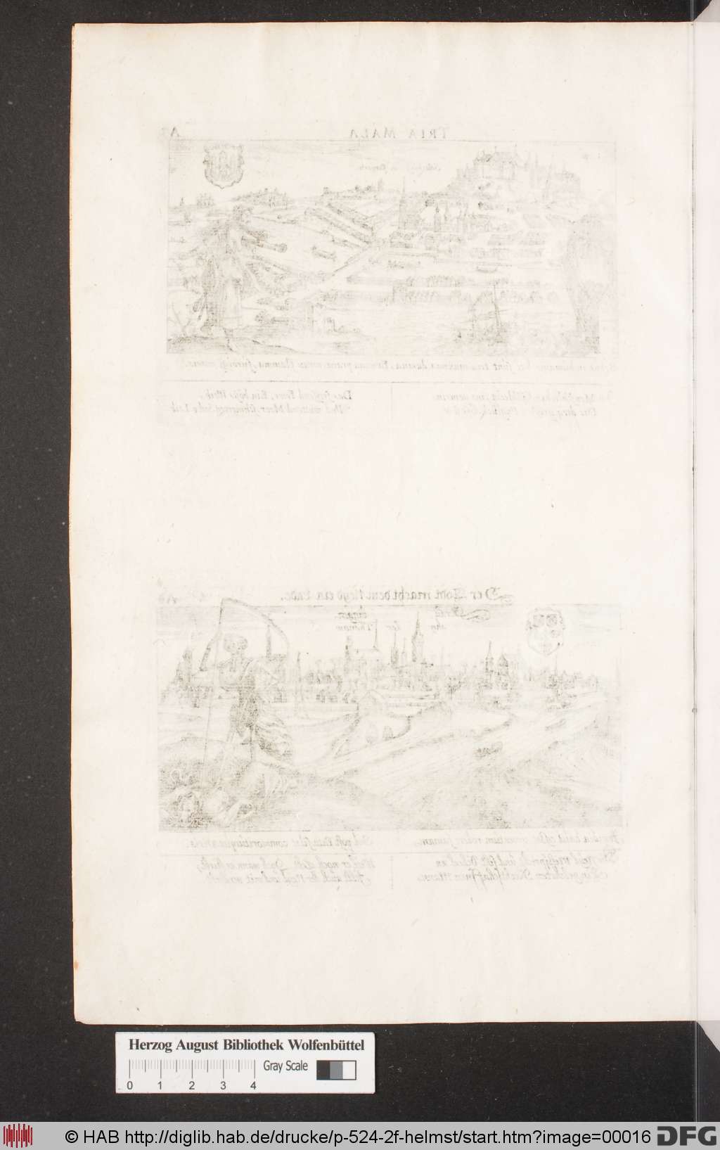 http://diglib.hab.de/drucke/p-524-2f-helmst/00016.jpg