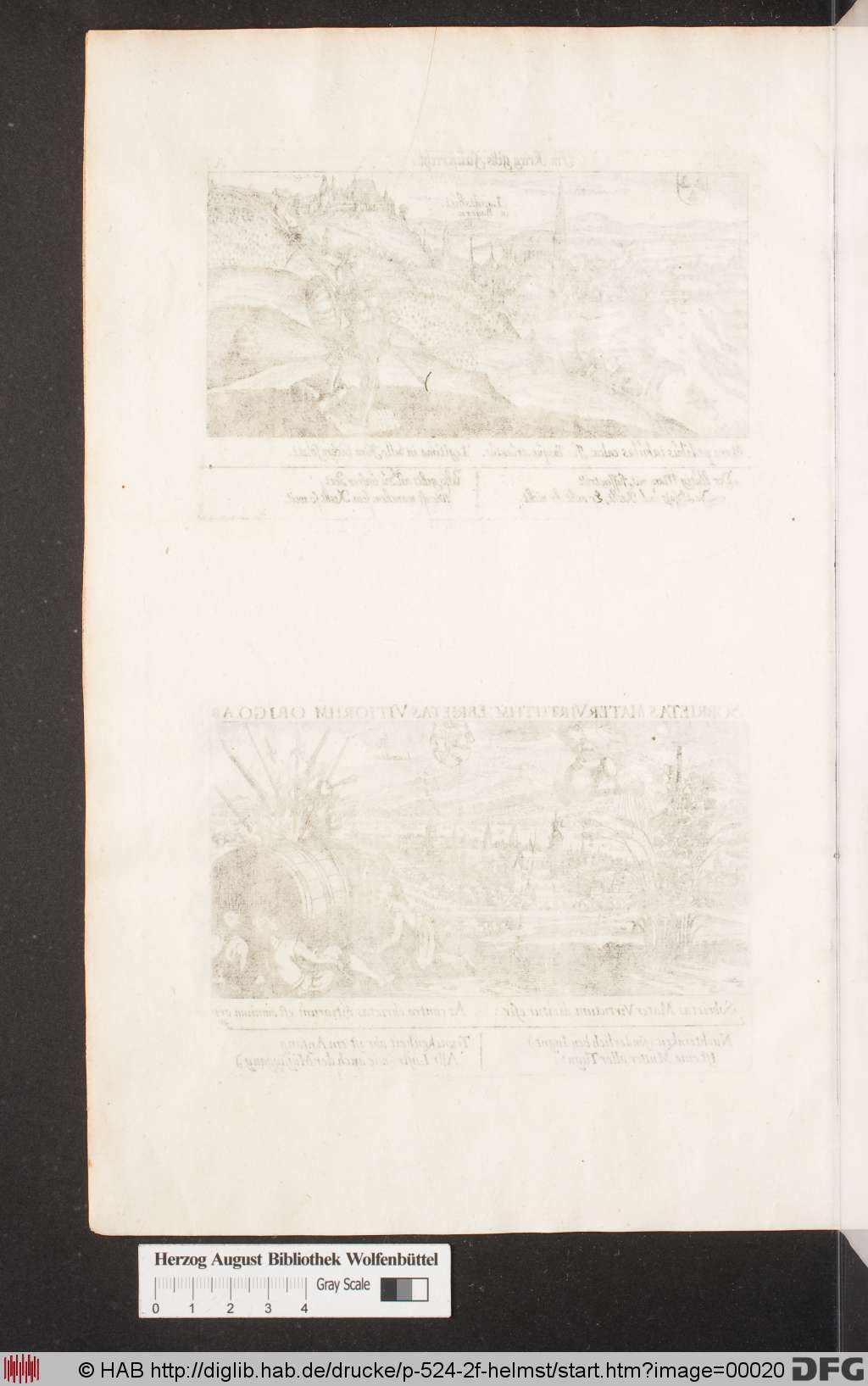 http://diglib.hab.de/drucke/p-524-2f-helmst/00020.jpg