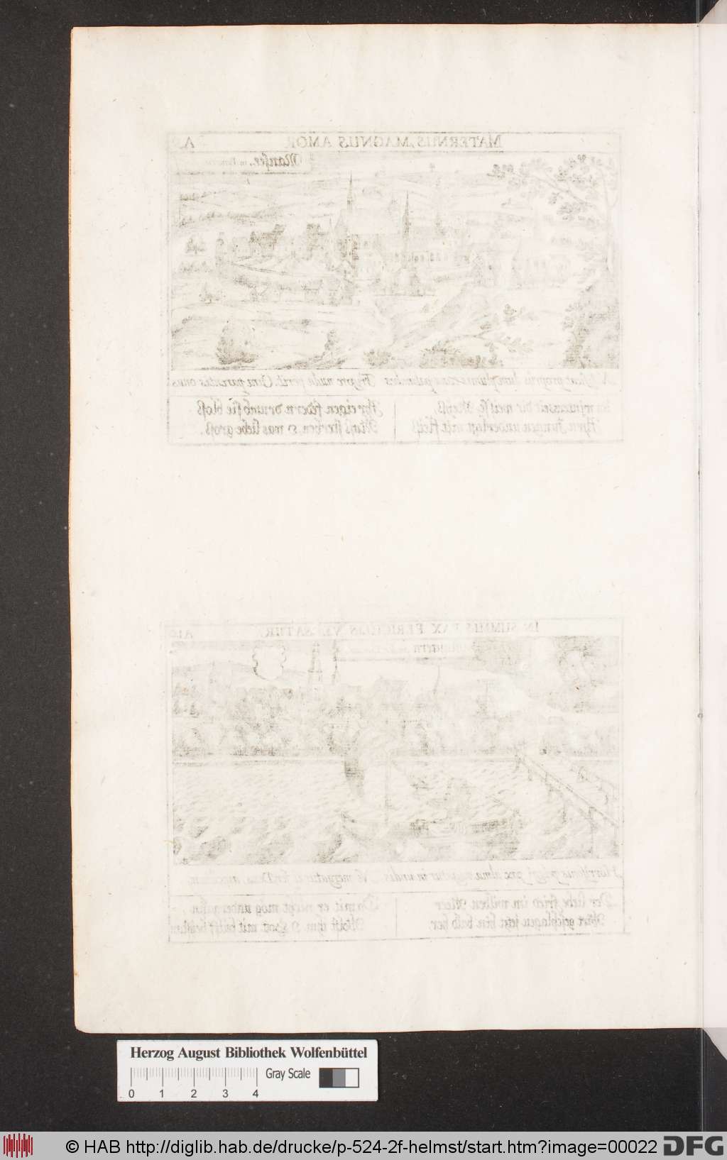 http://diglib.hab.de/drucke/p-524-2f-helmst/00022.jpg