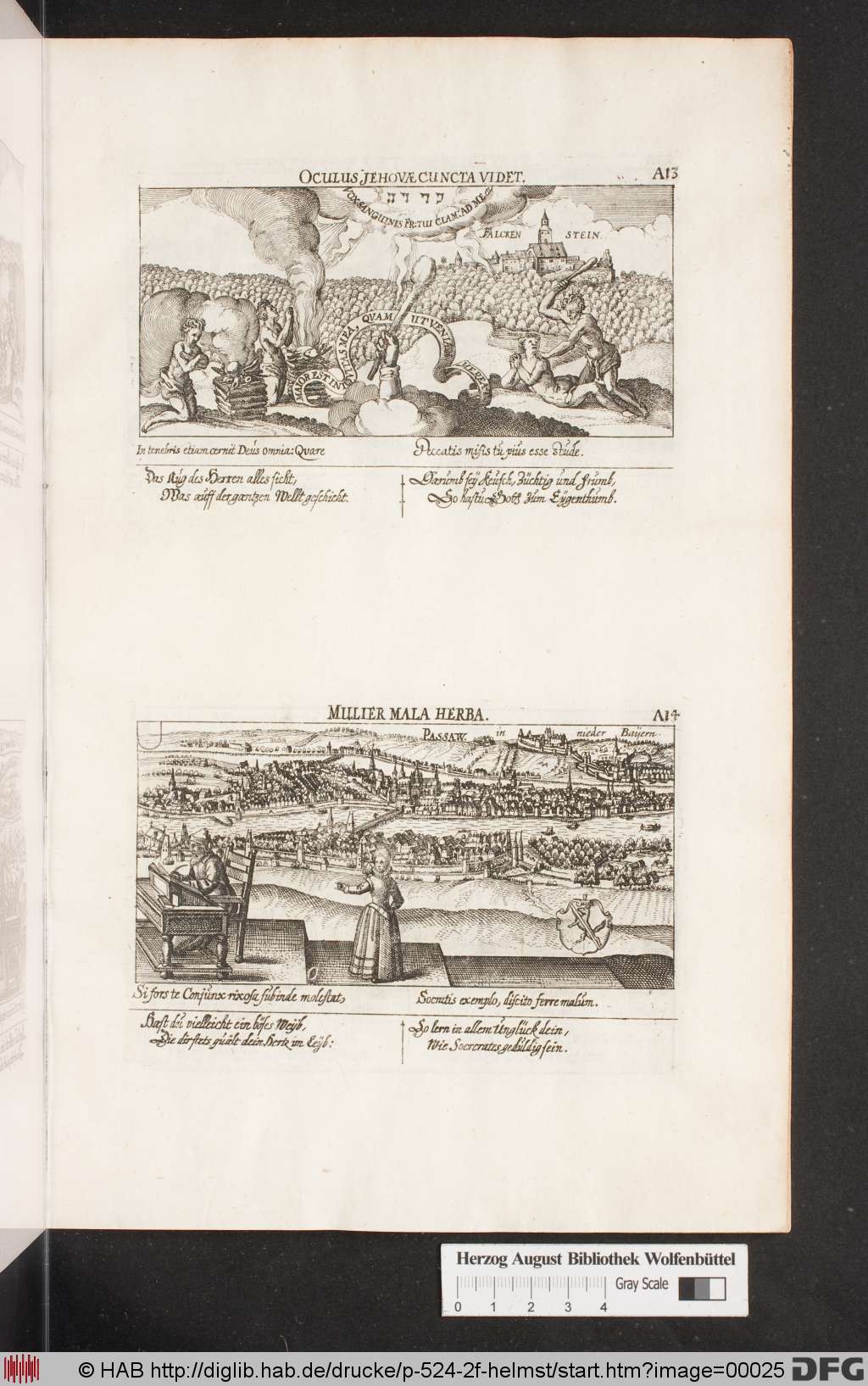 http://diglib.hab.de/drucke/p-524-2f-helmst/00025.jpg