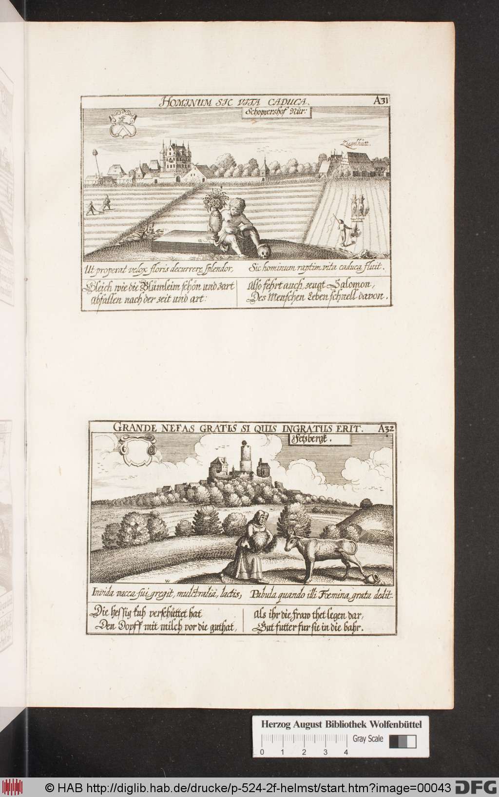 http://diglib.hab.de/drucke/p-524-2f-helmst/00043.jpg