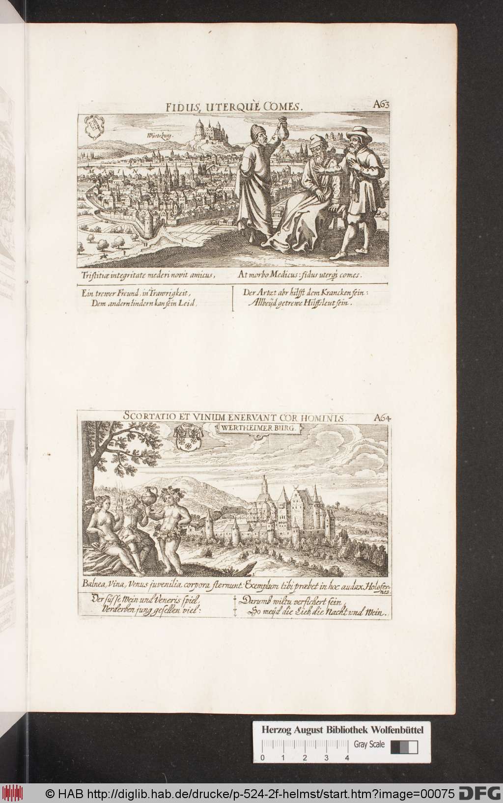 http://diglib.hab.de/drucke/p-524-2f-helmst/00075.jpg