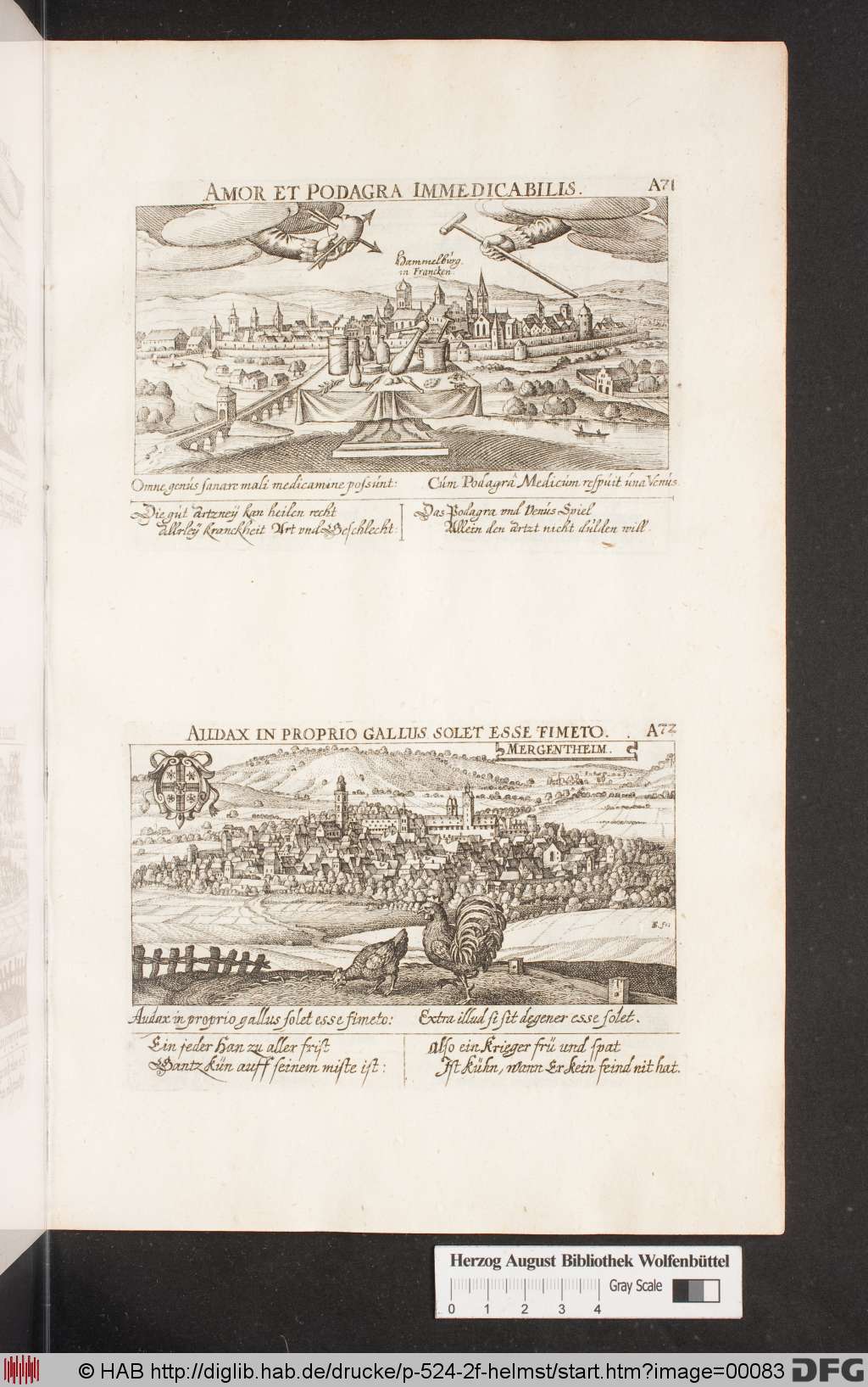 http://diglib.hab.de/drucke/p-524-2f-helmst/00083.jpg
