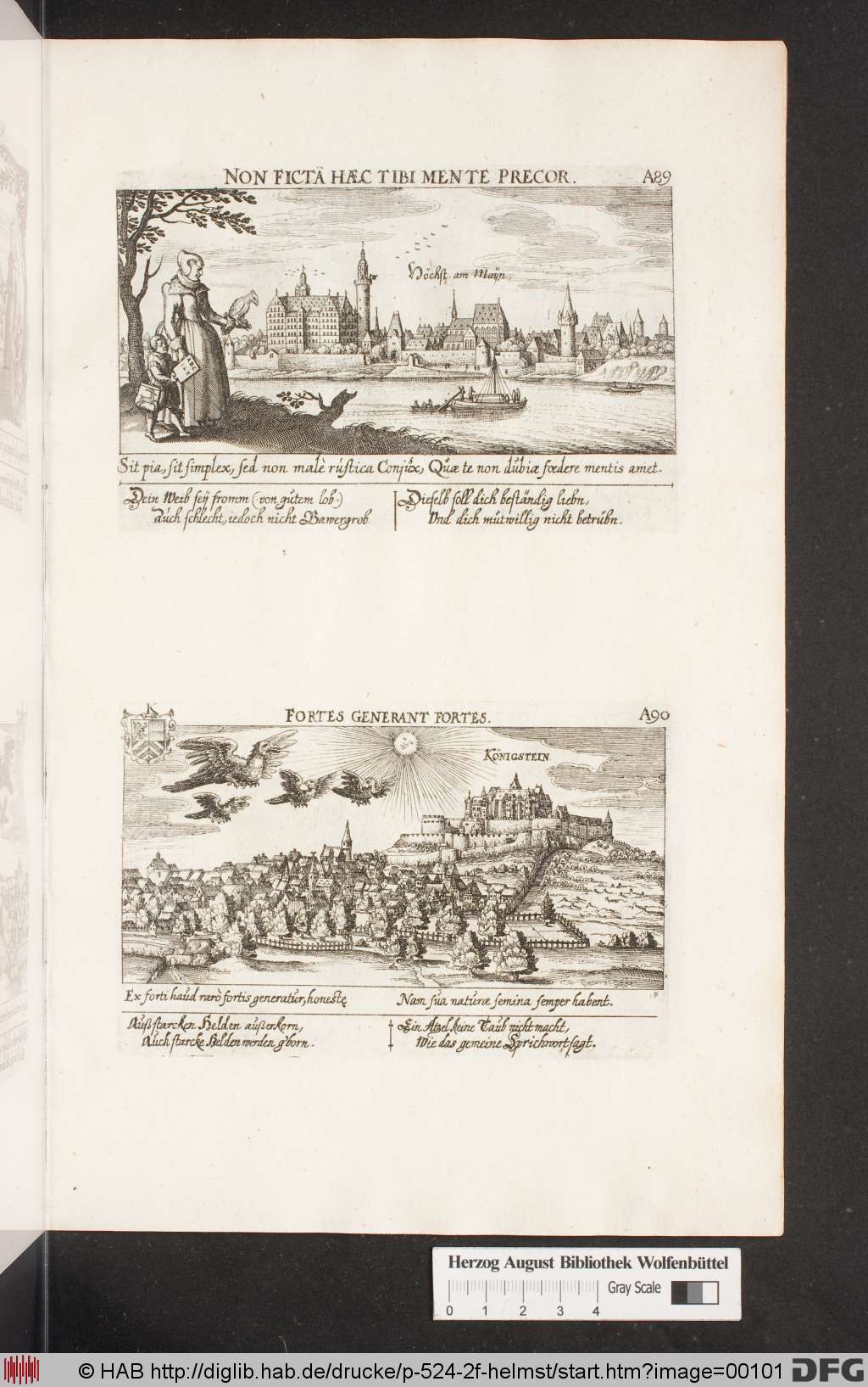 http://diglib.hab.de/drucke/p-524-2f-helmst/00101.jpg