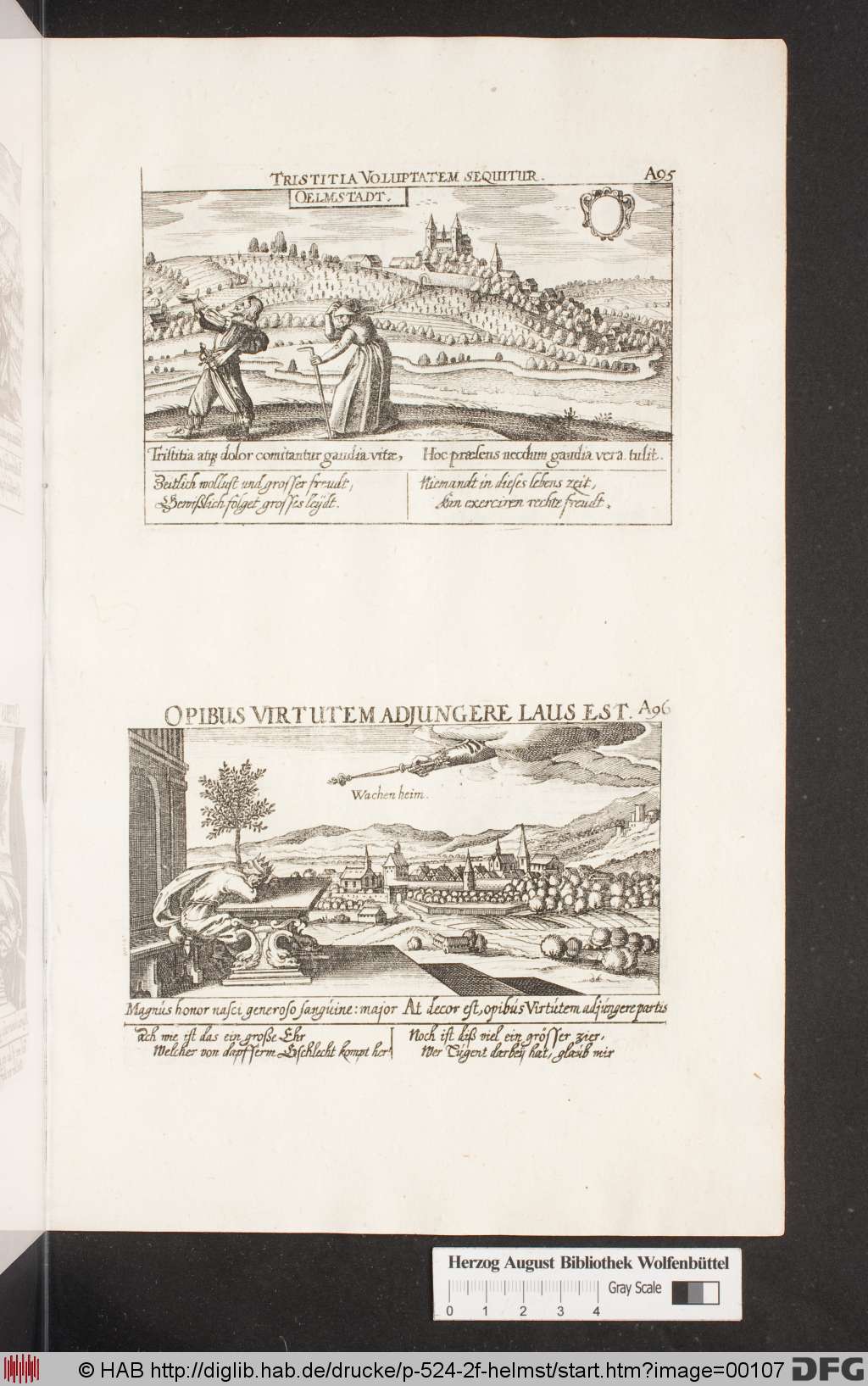 http://diglib.hab.de/drucke/p-524-2f-helmst/00107.jpg
