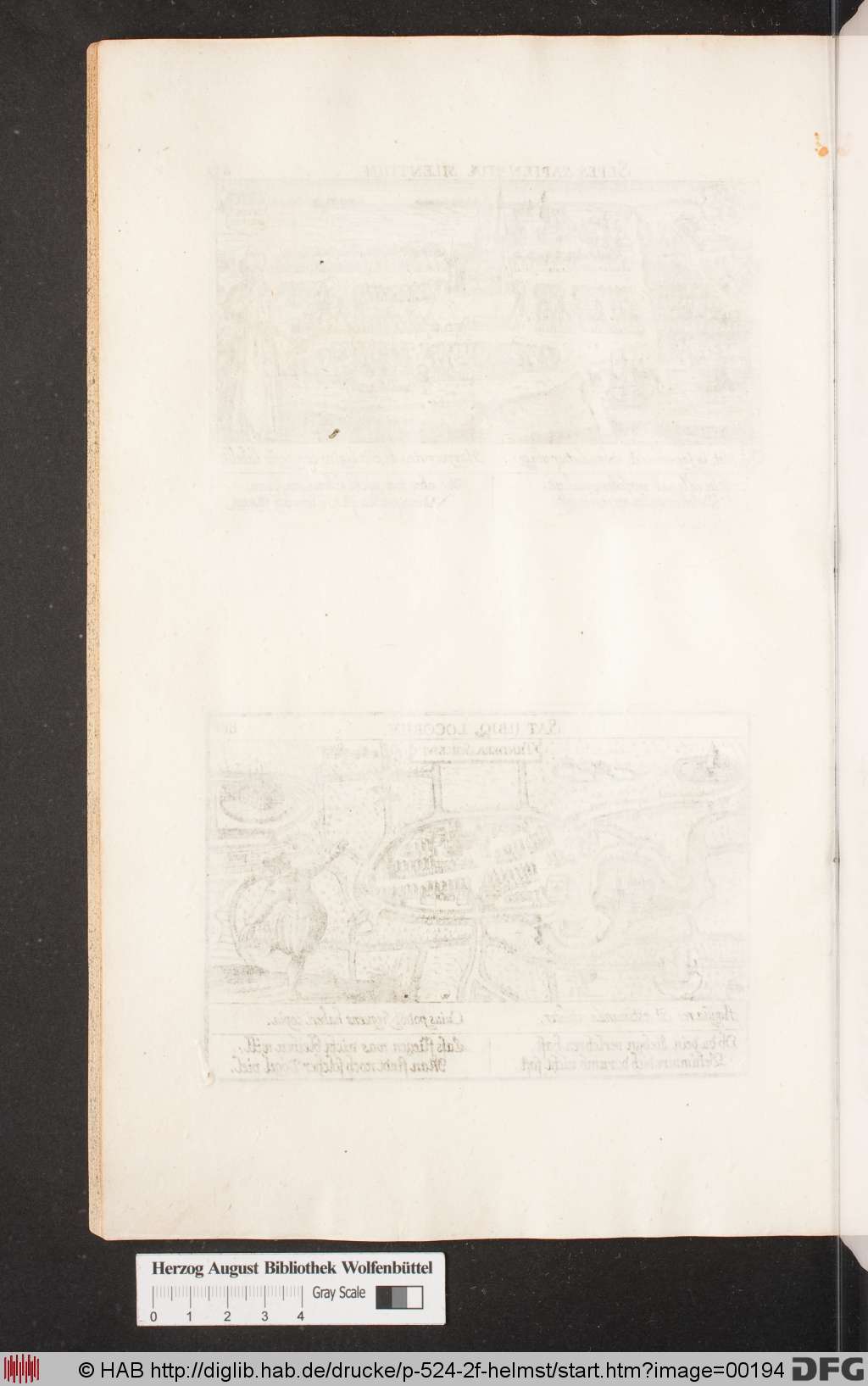 http://diglib.hab.de/drucke/p-524-2f-helmst/00194.jpg
