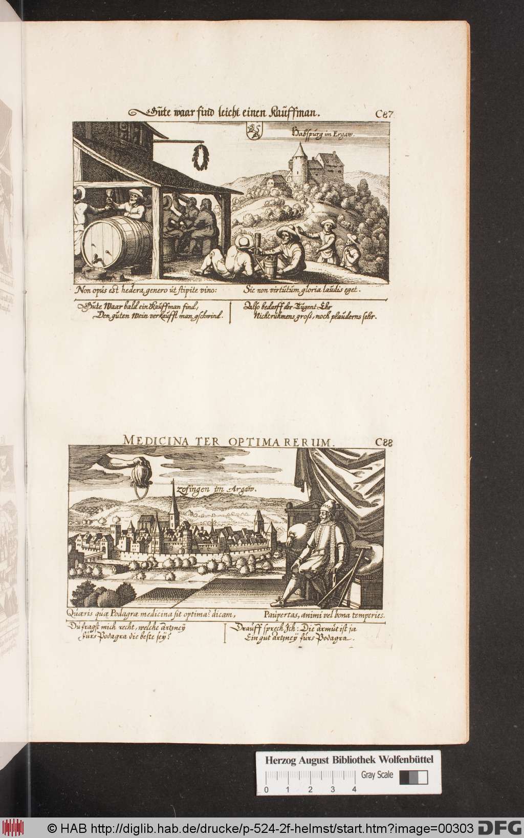 http://diglib.hab.de/drucke/p-524-2f-helmst/00303.jpg
