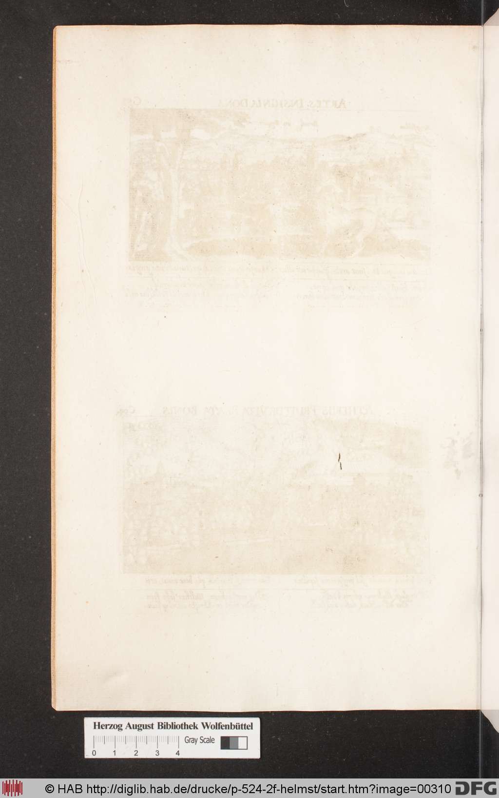 http://diglib.hab.de/drucke/p-524-2f-helmst/00310.jpg