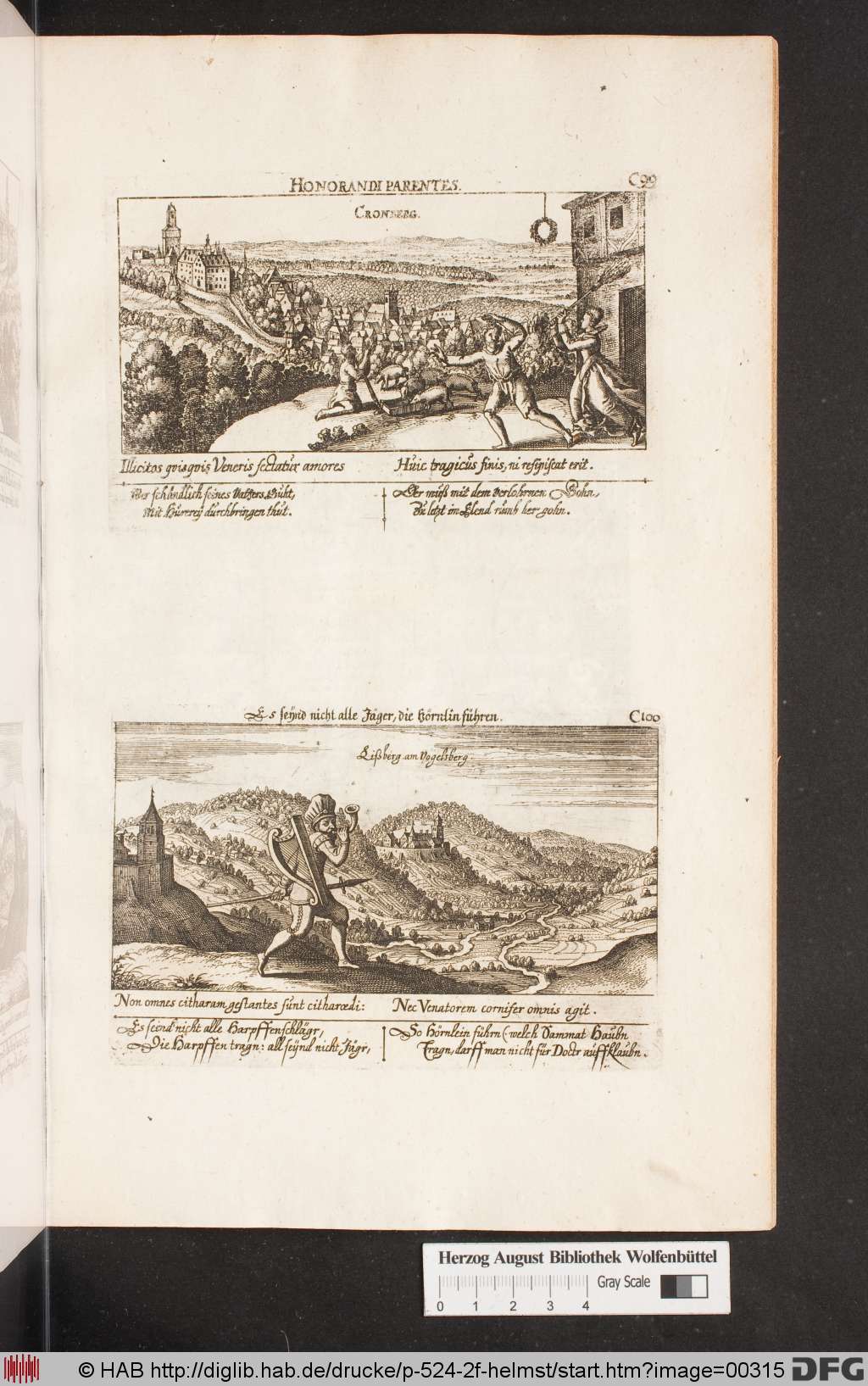 http://diglib.hab.de/drucke/p-524-2f-helmst/00315.jpg