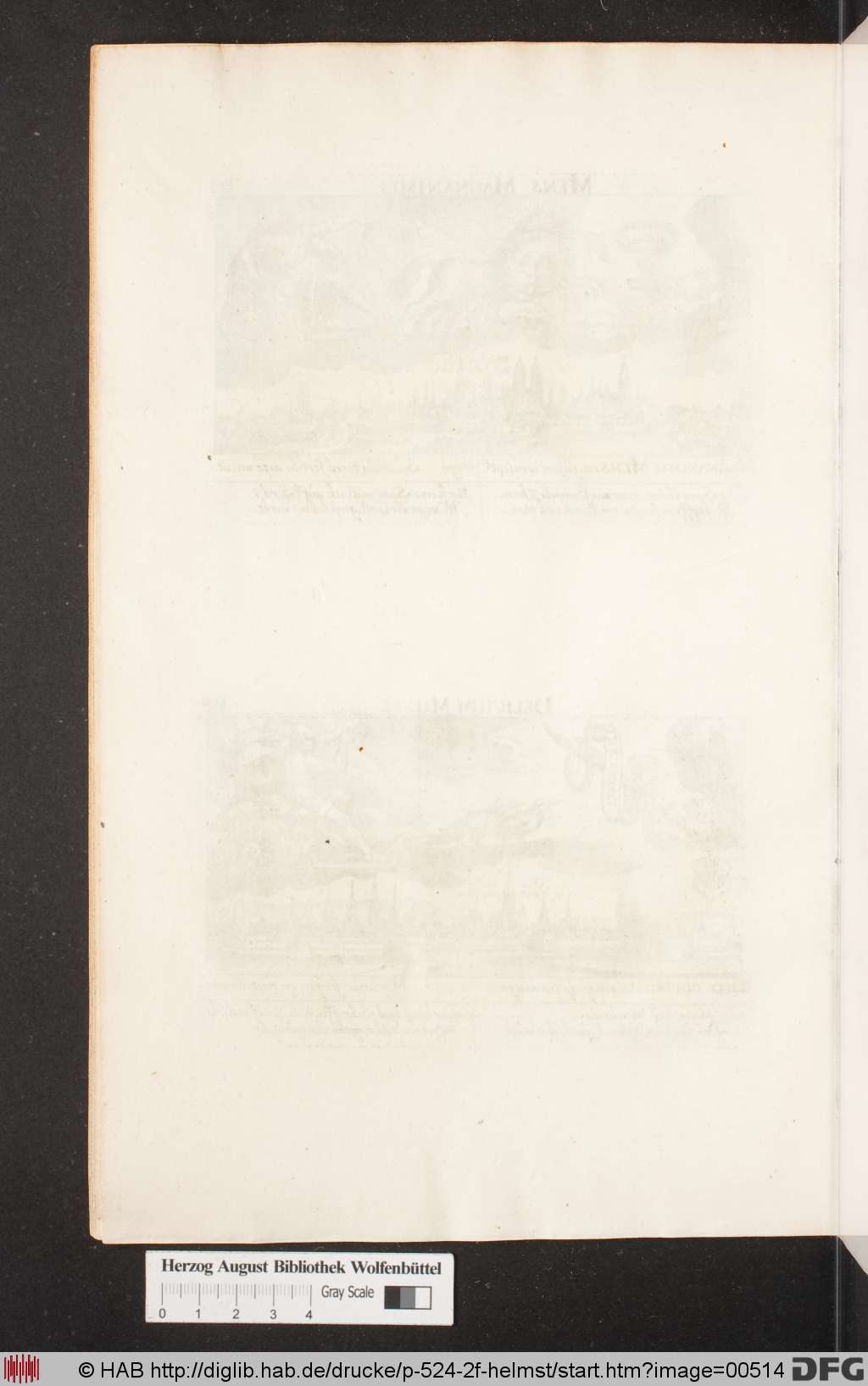 http://diglib.hab.de/drucke/p-524-2f-helmst/00514.jpg