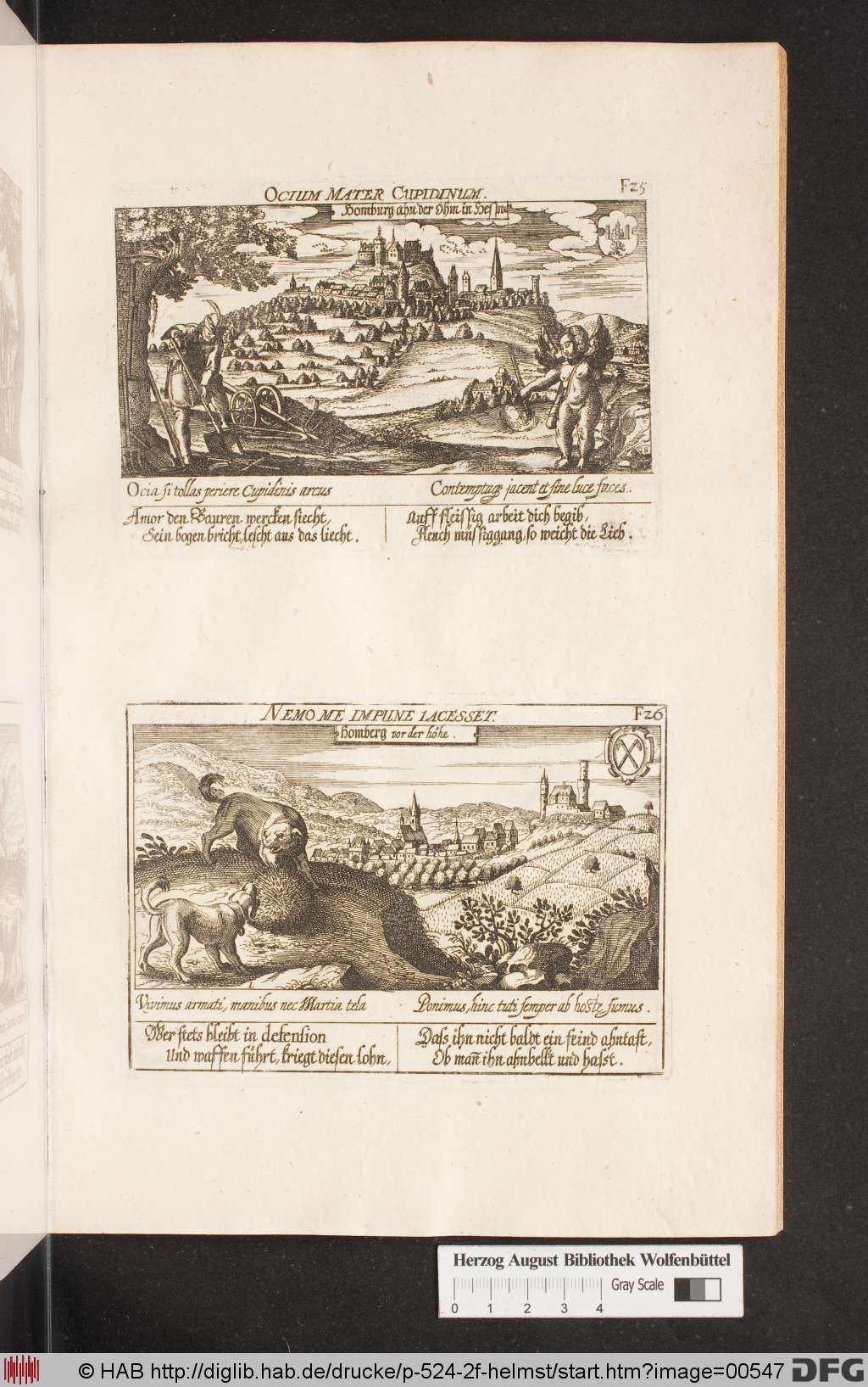 http://diglib.hab.de/drucke/p-524-2f-helmst/00547.jpg
