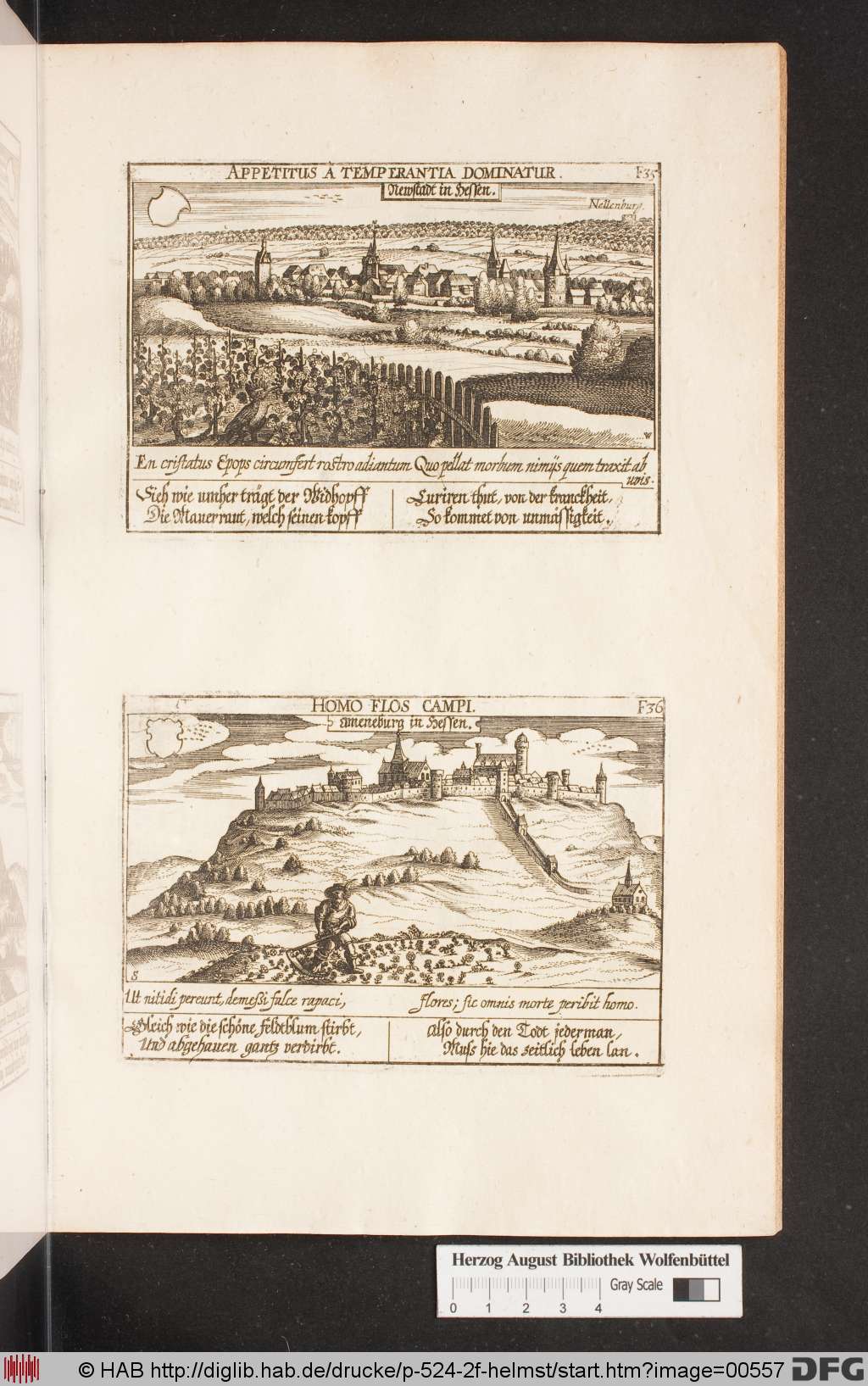 http://diglib.hab.de/drucke/p-524-2f-helmst/00557.jpg