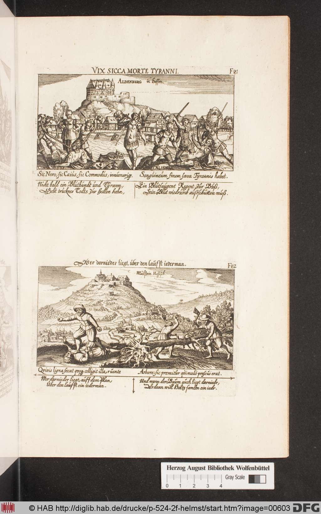 http://diglib.hab.de/drucke/p-524-2f-helmst/00603.jpg