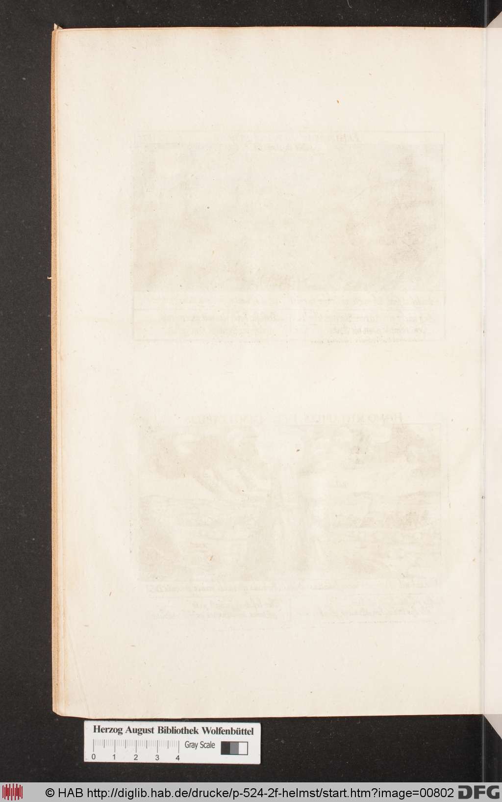 http://diglib.hab.de/drucke/p-524-2f-helmst/00802.jpg