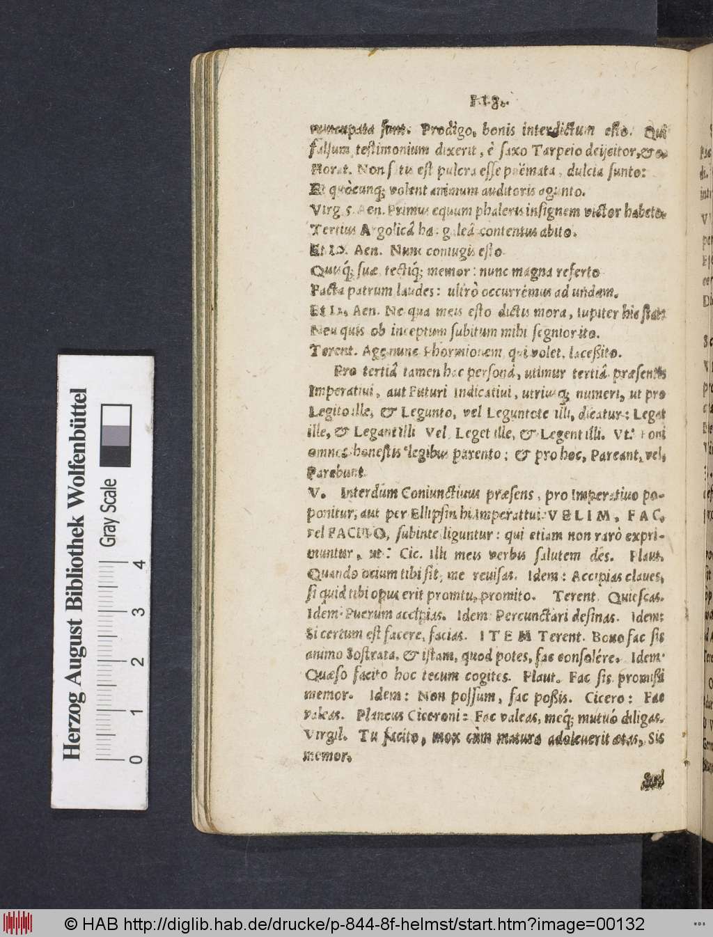 http://diglib.hab.de/drucke/p-844-8f-helmst/00132.jpg