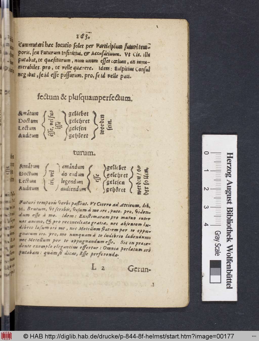 http://diglib.hab.de/drucke/p-844-8f-helmst/00177.jpg