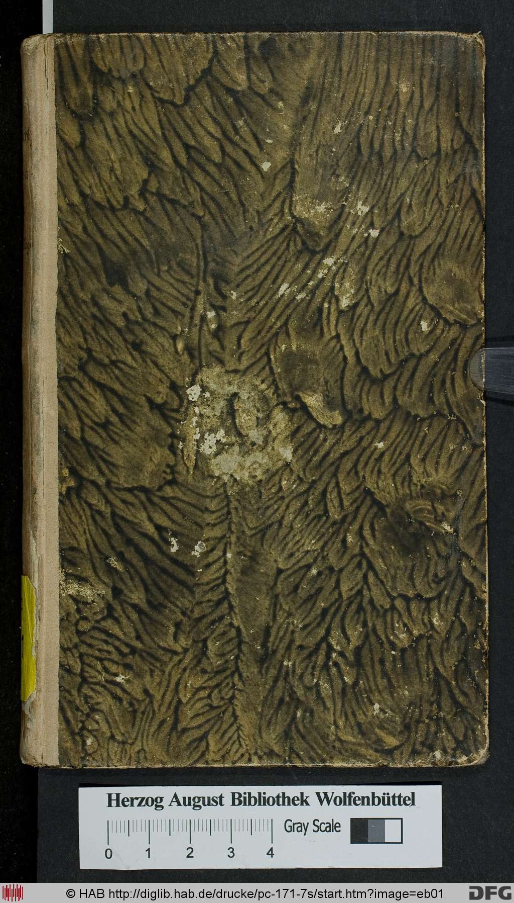 http://diglib.hab.de/drucke/pc-171-7s/eb01.jpg