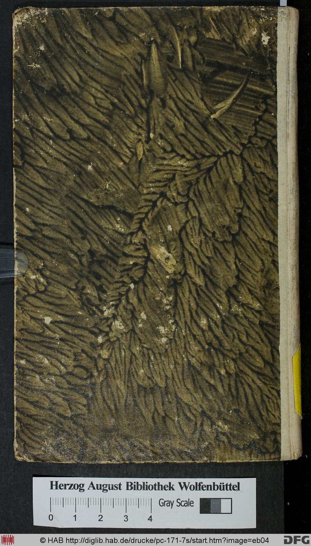 http://diglib.hab.de/drucke/pc-171-7s/eb04.jpg
