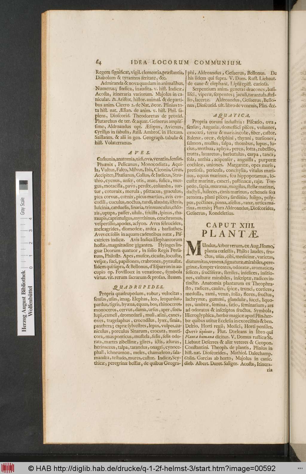 http://diglib.hab.de/drucke/q-1-2f-helmst-3/00592.jpg