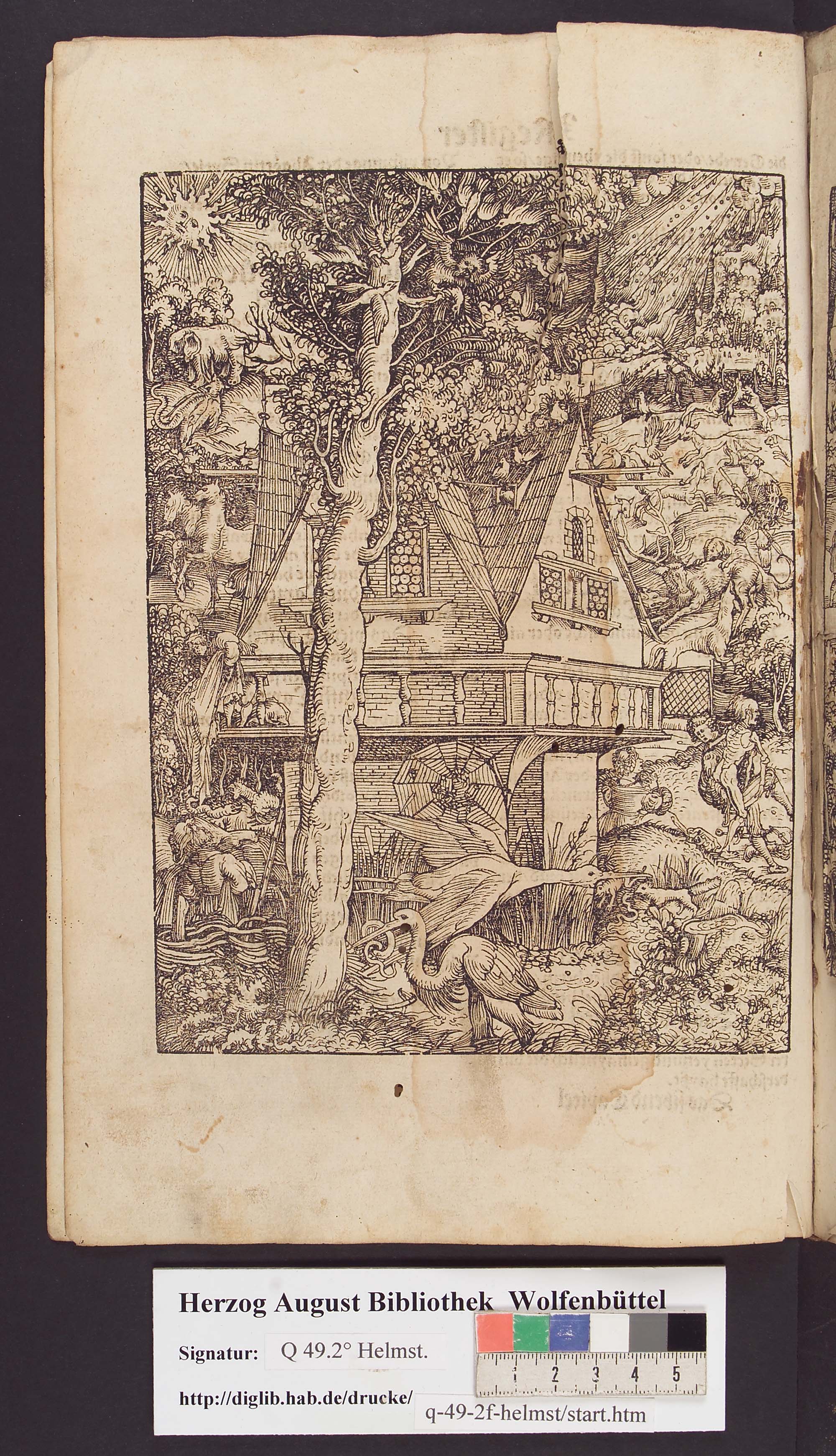 http://diglib.hab.de/drucke/q-49-2f-helmst/max/00036.jpg