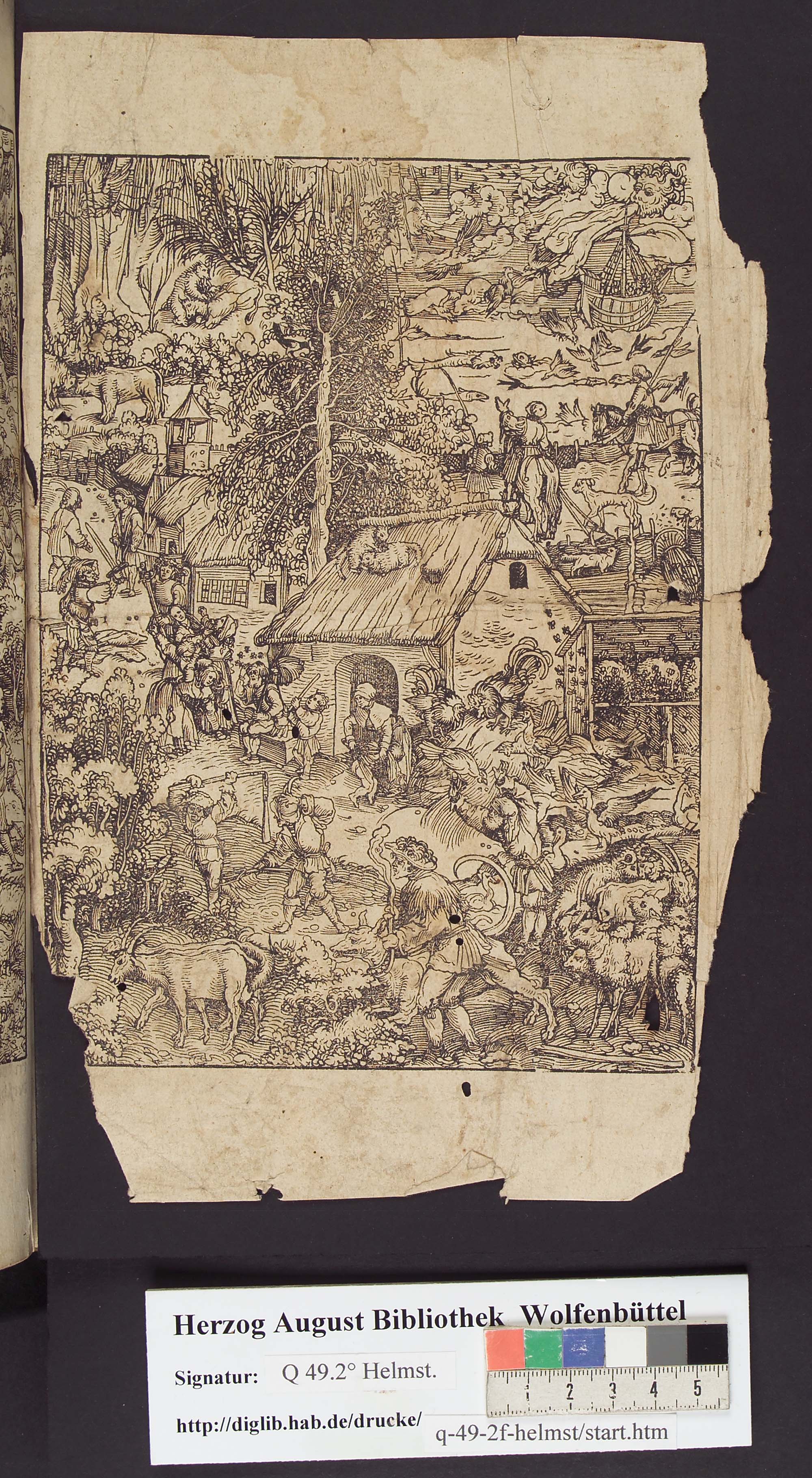 http://diglib.hab.de/drucke/q-49-2f-helmst/max/00037.jpg
