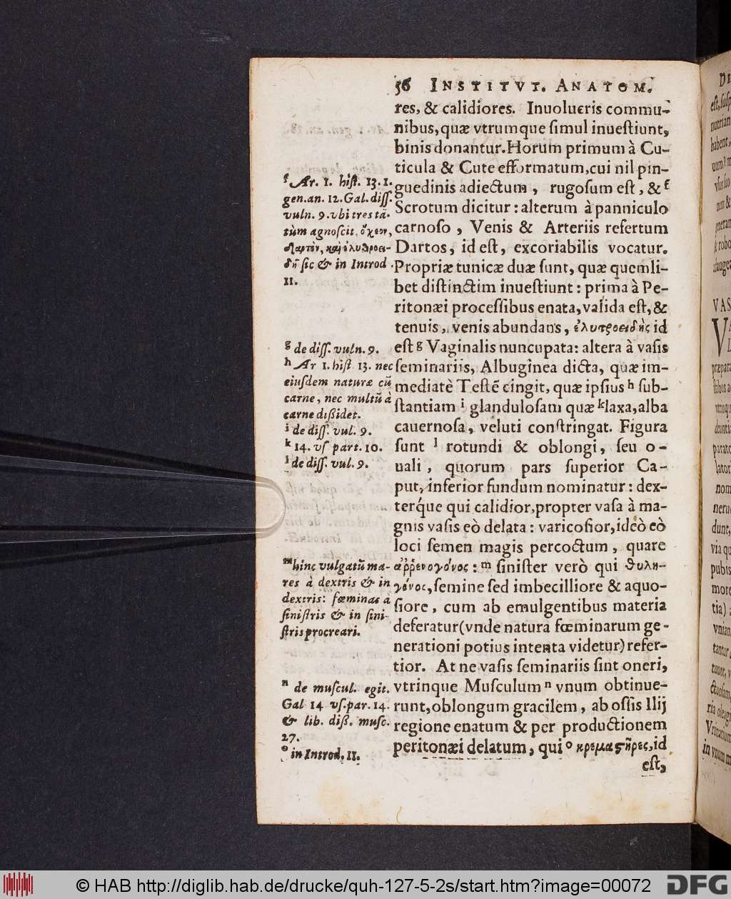 http://diglib.hab.de/drucke/quh-127-5-2s/00072.jpg