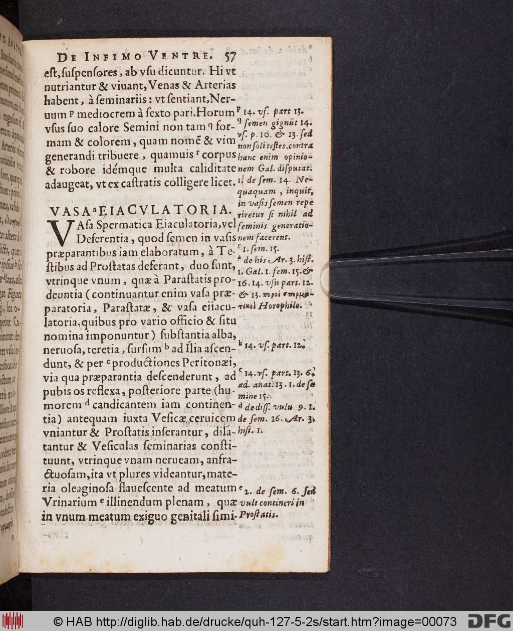 http://diglib.hab.de/drucke/quh-127-5-2s/00073.jpg